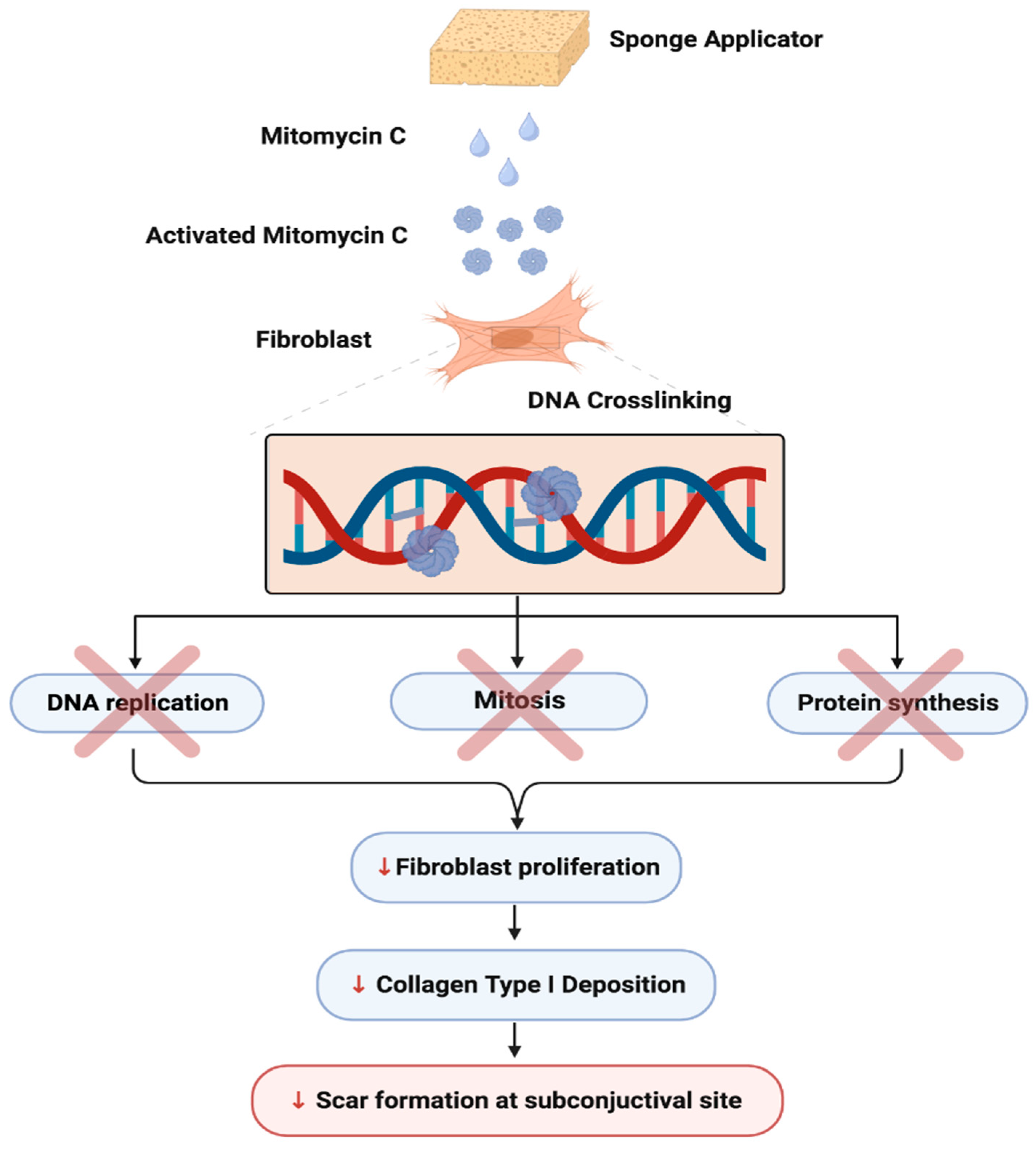 Bioengineering 11 00446 g008