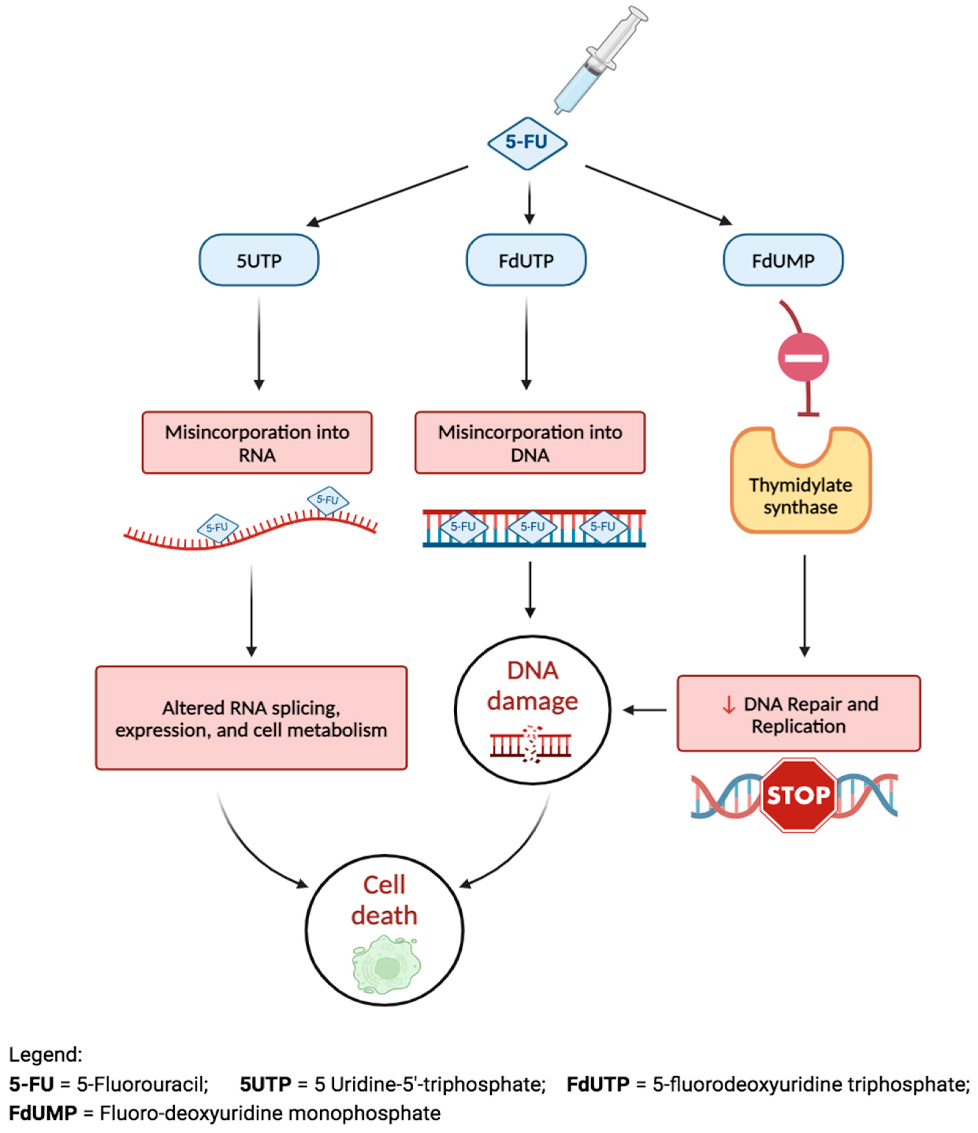 Bioengineering 11 00446 g009