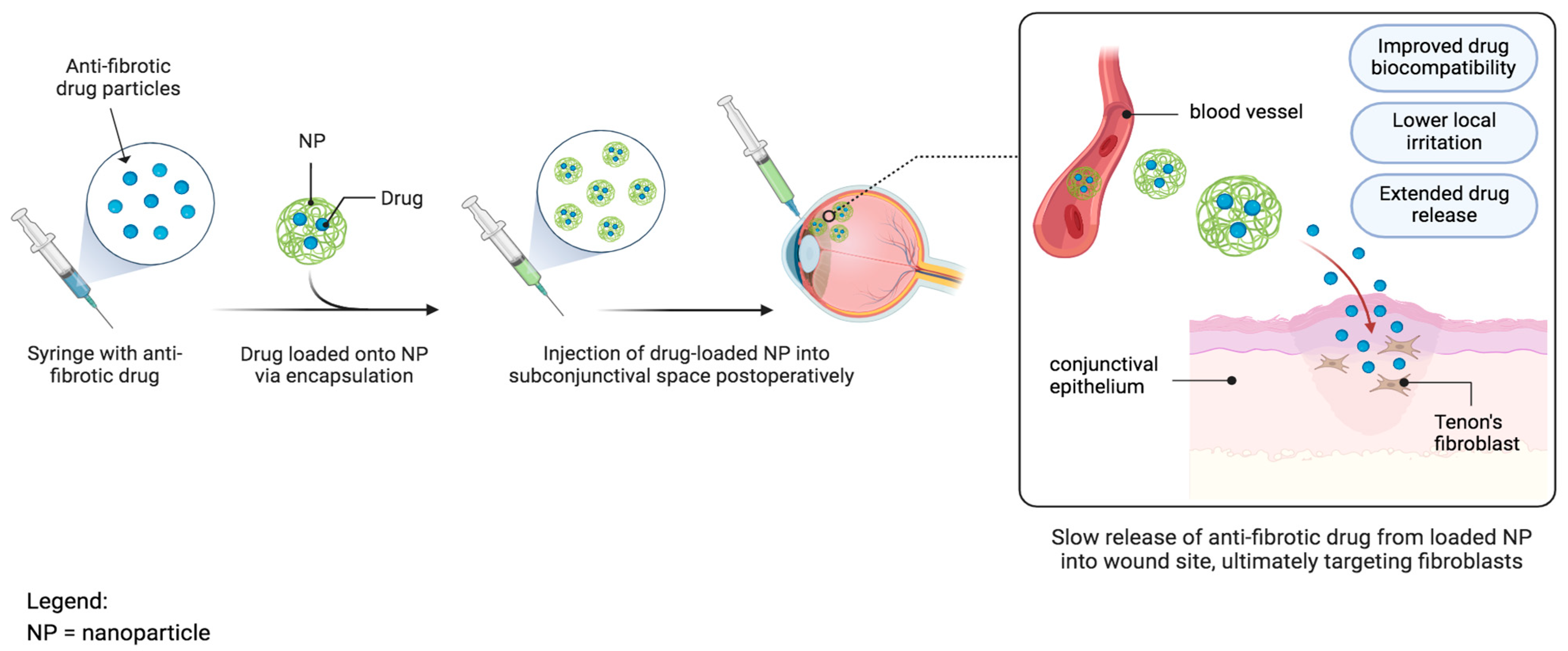 Bioengineering 11 00446 g010