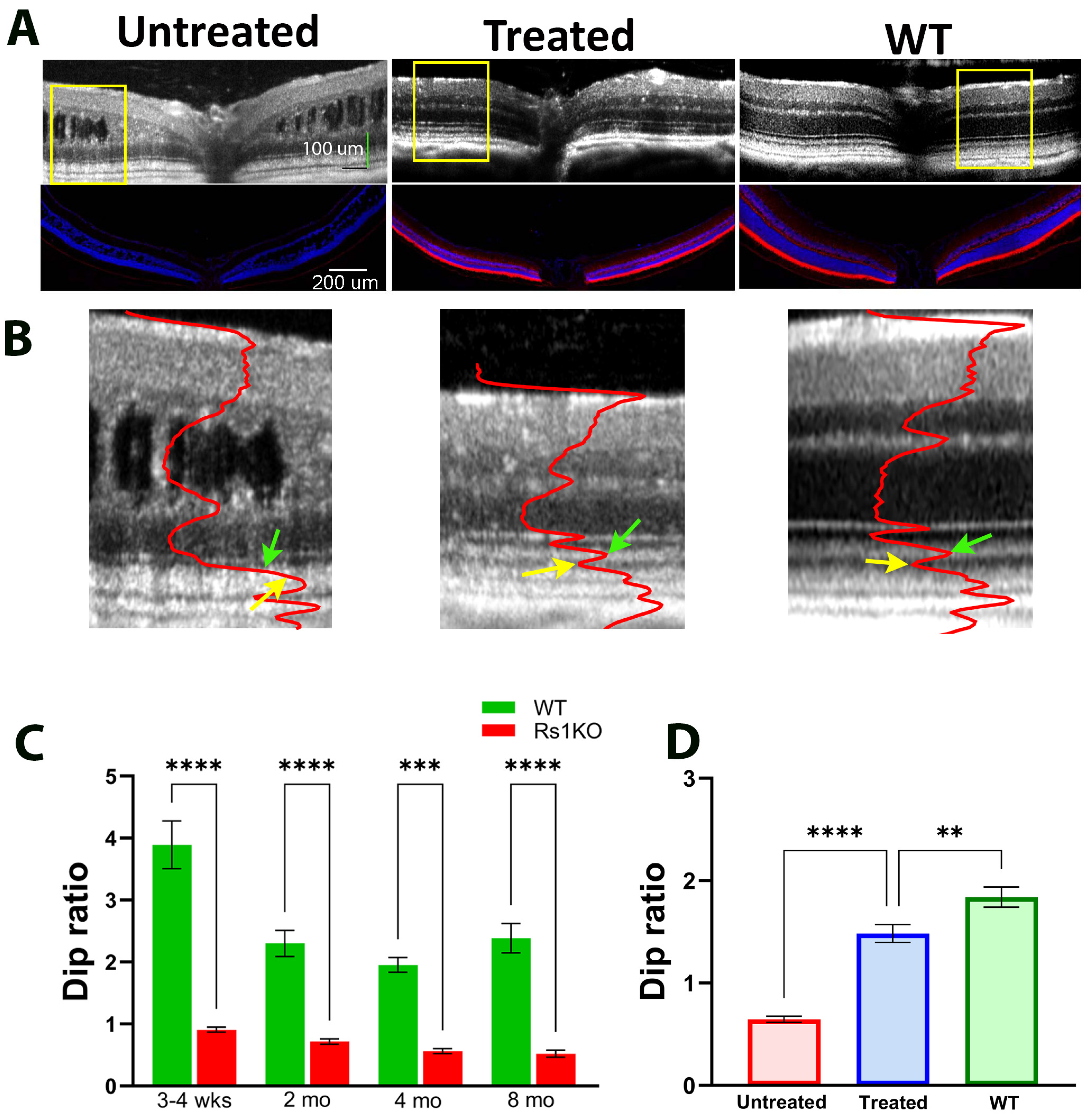 Bioengineering 11 00449 g002