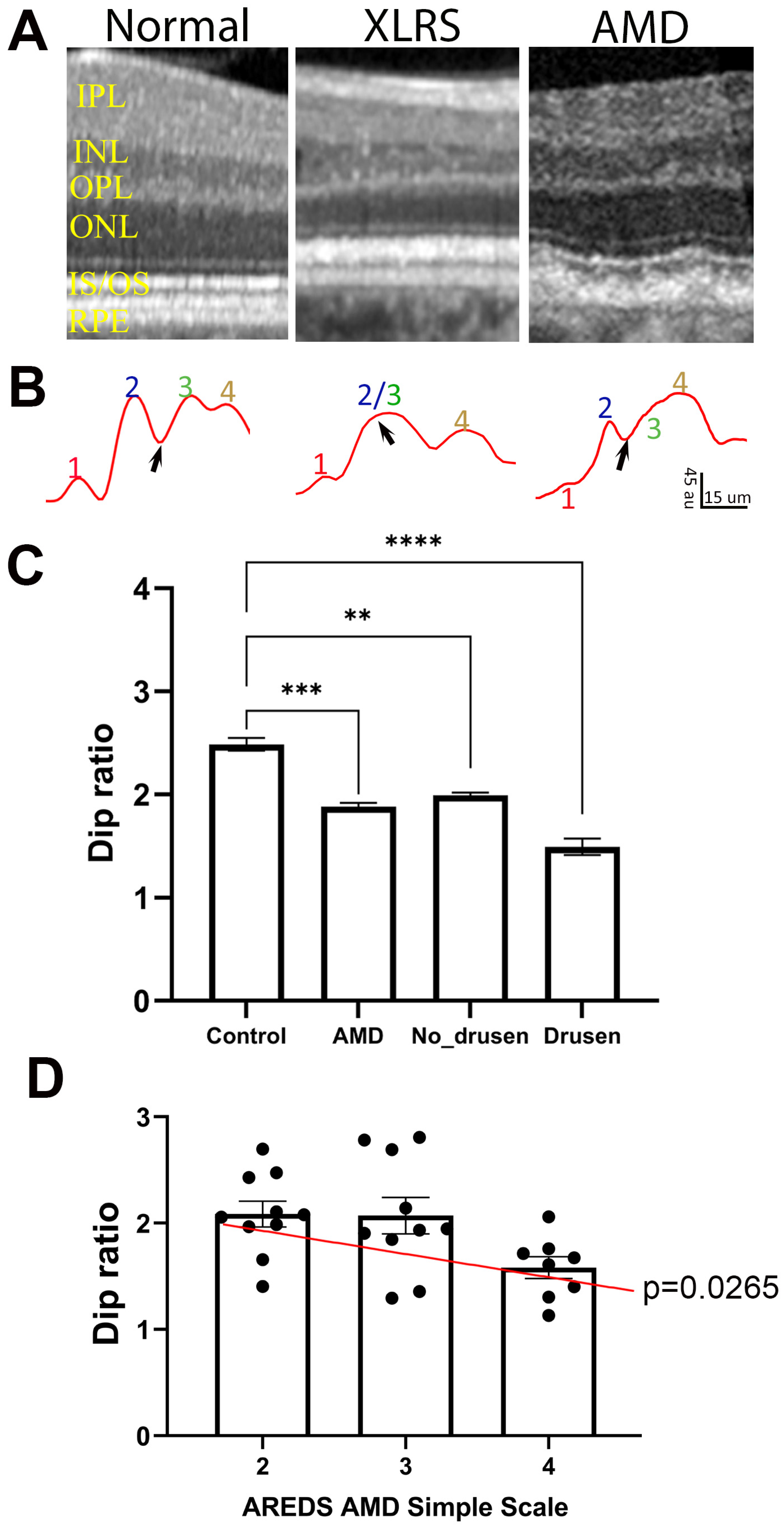 Bioengineering 11 00449 g007