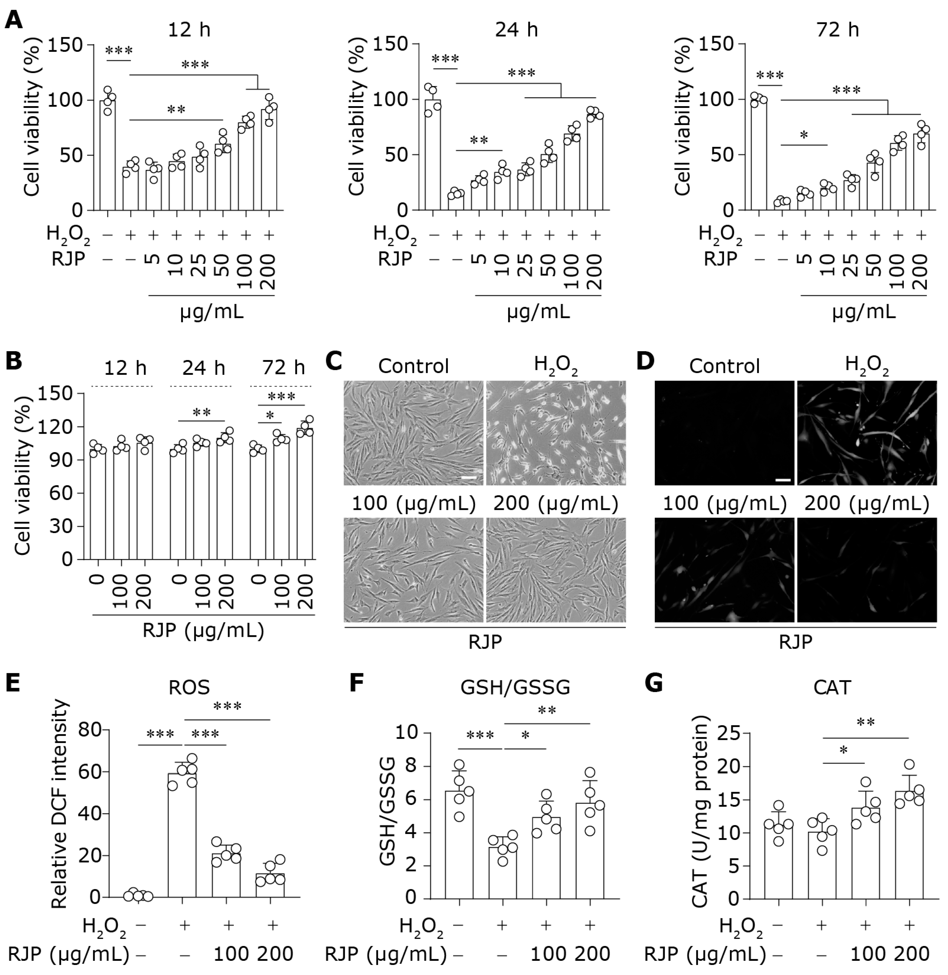 Bioengineering 11 00496 g001