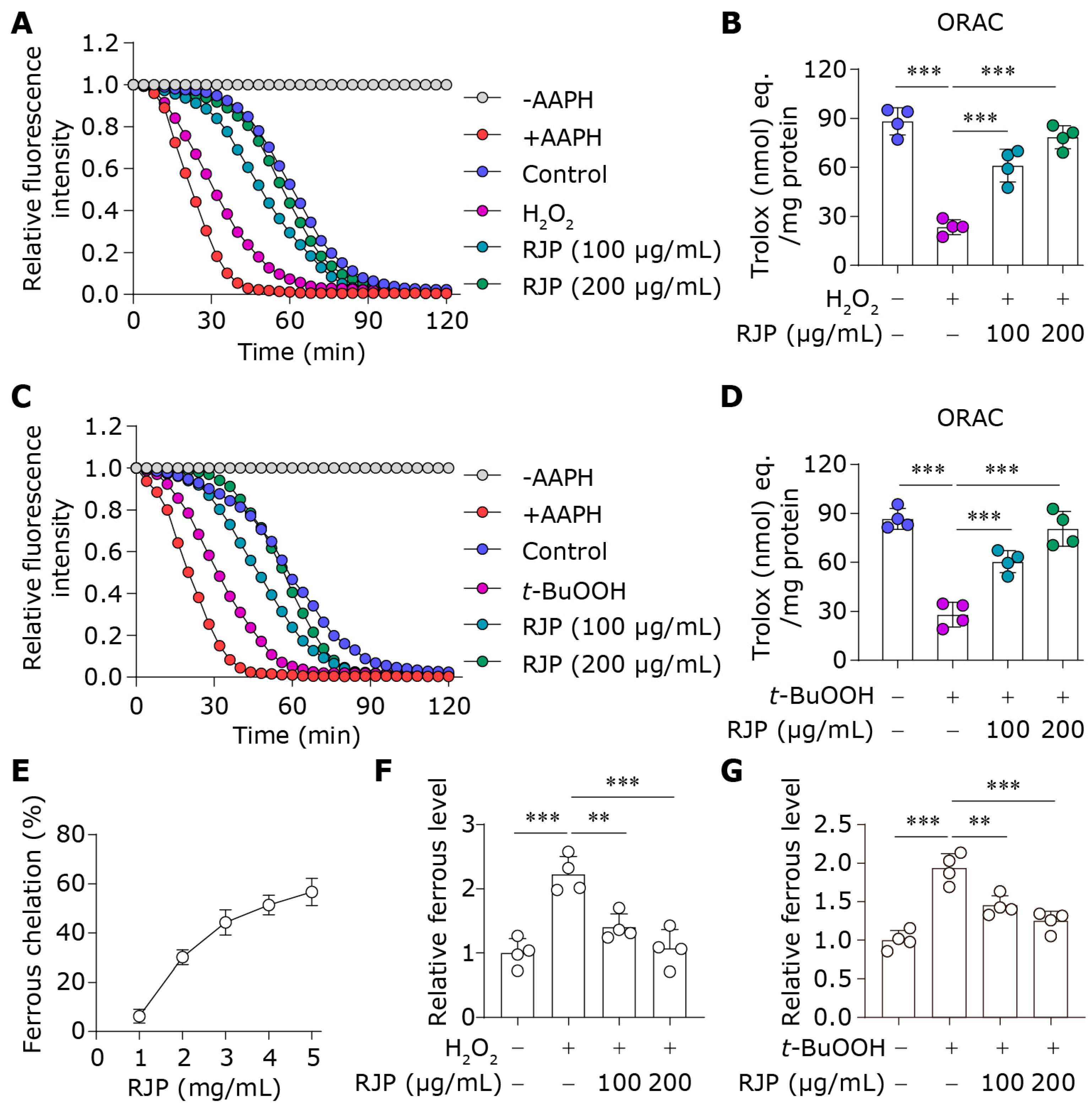Bioengineering 11 00496 g003