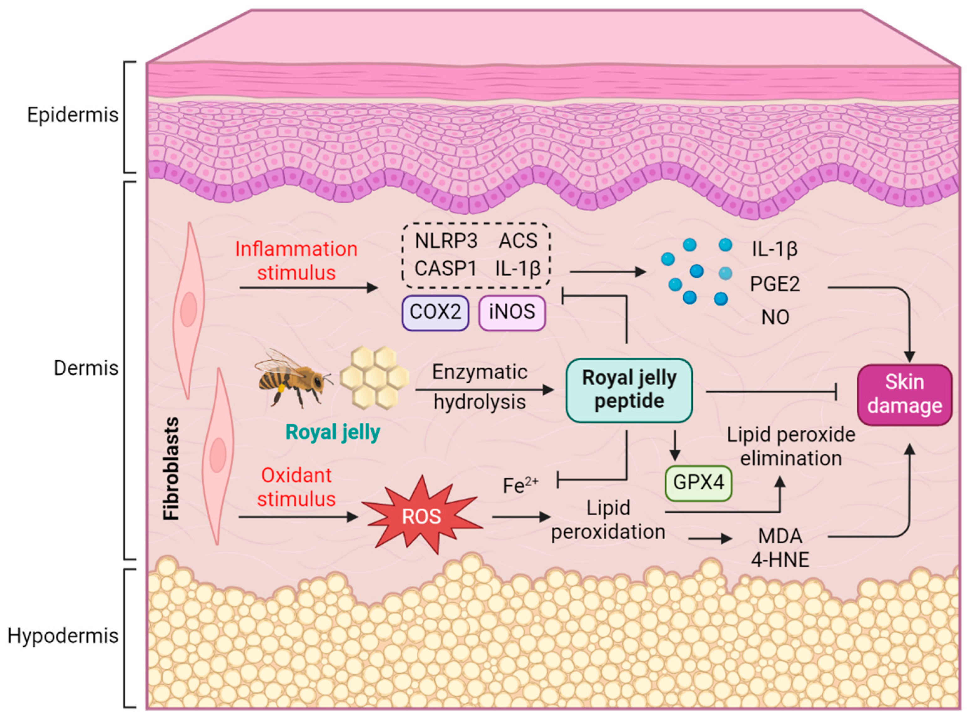 Bioengineering 11 00496 g009