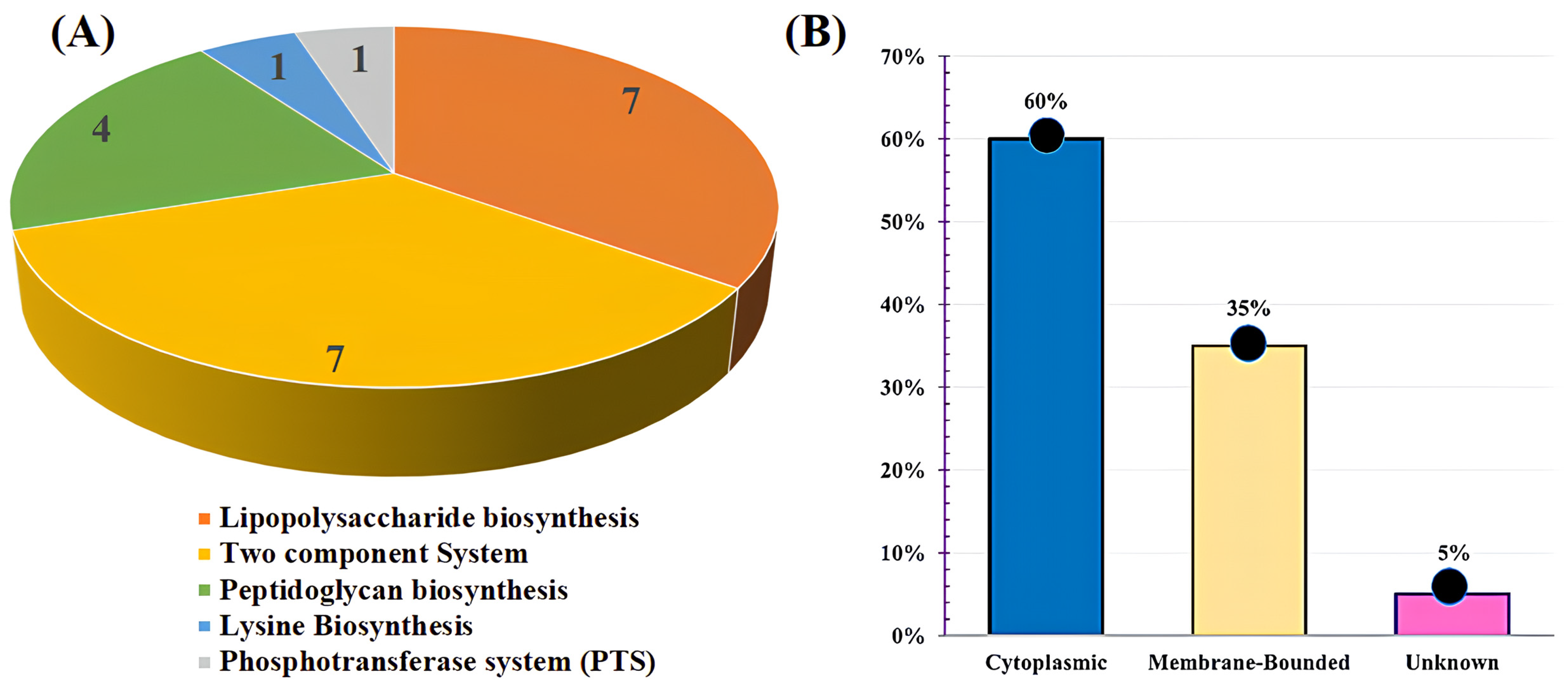Bioengineering 11 00505 g001