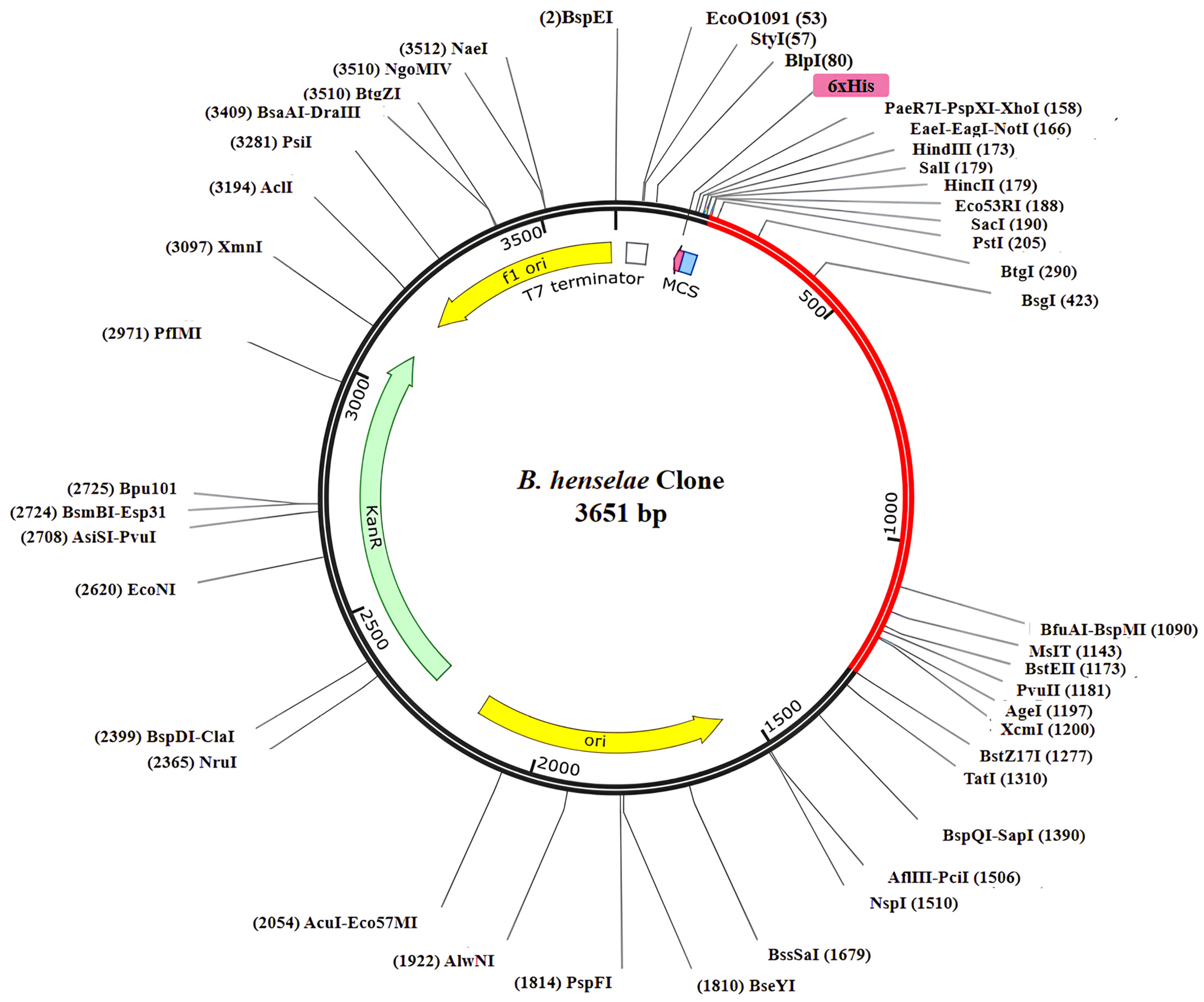 Bioengineering 11 00505 g008