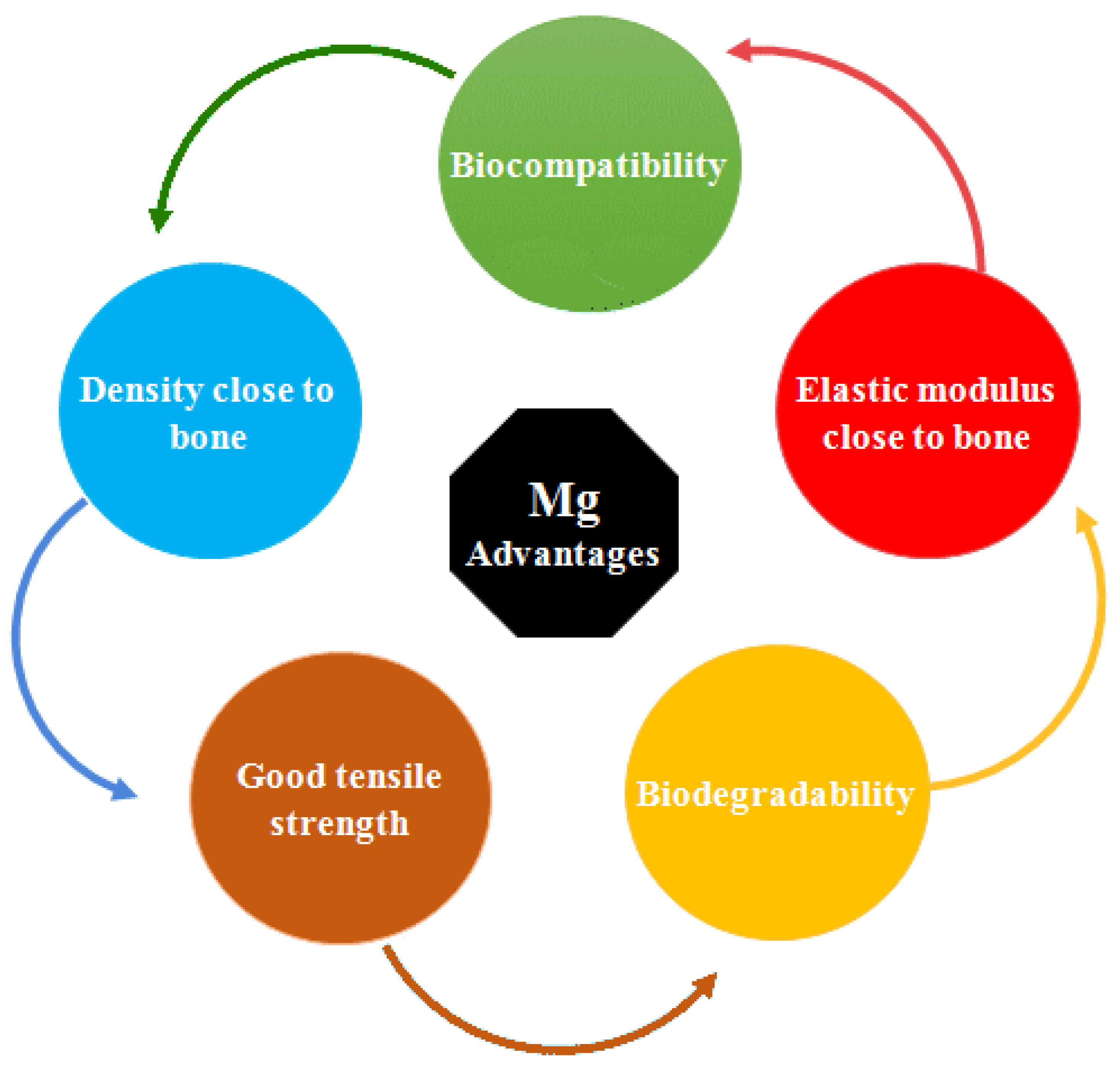 Bioengineering 11 00508 g001