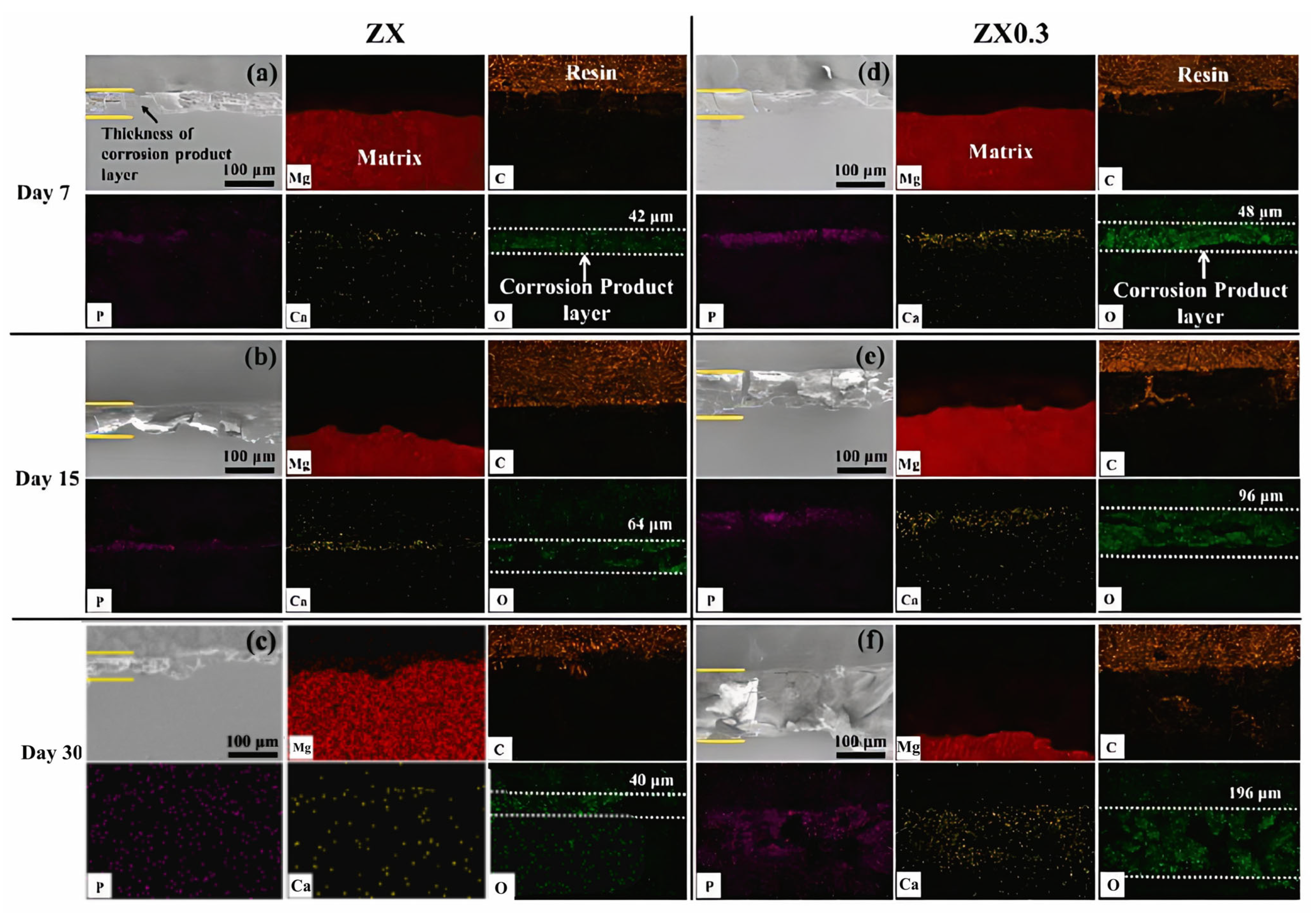 Bioengineering 11 00508 g003