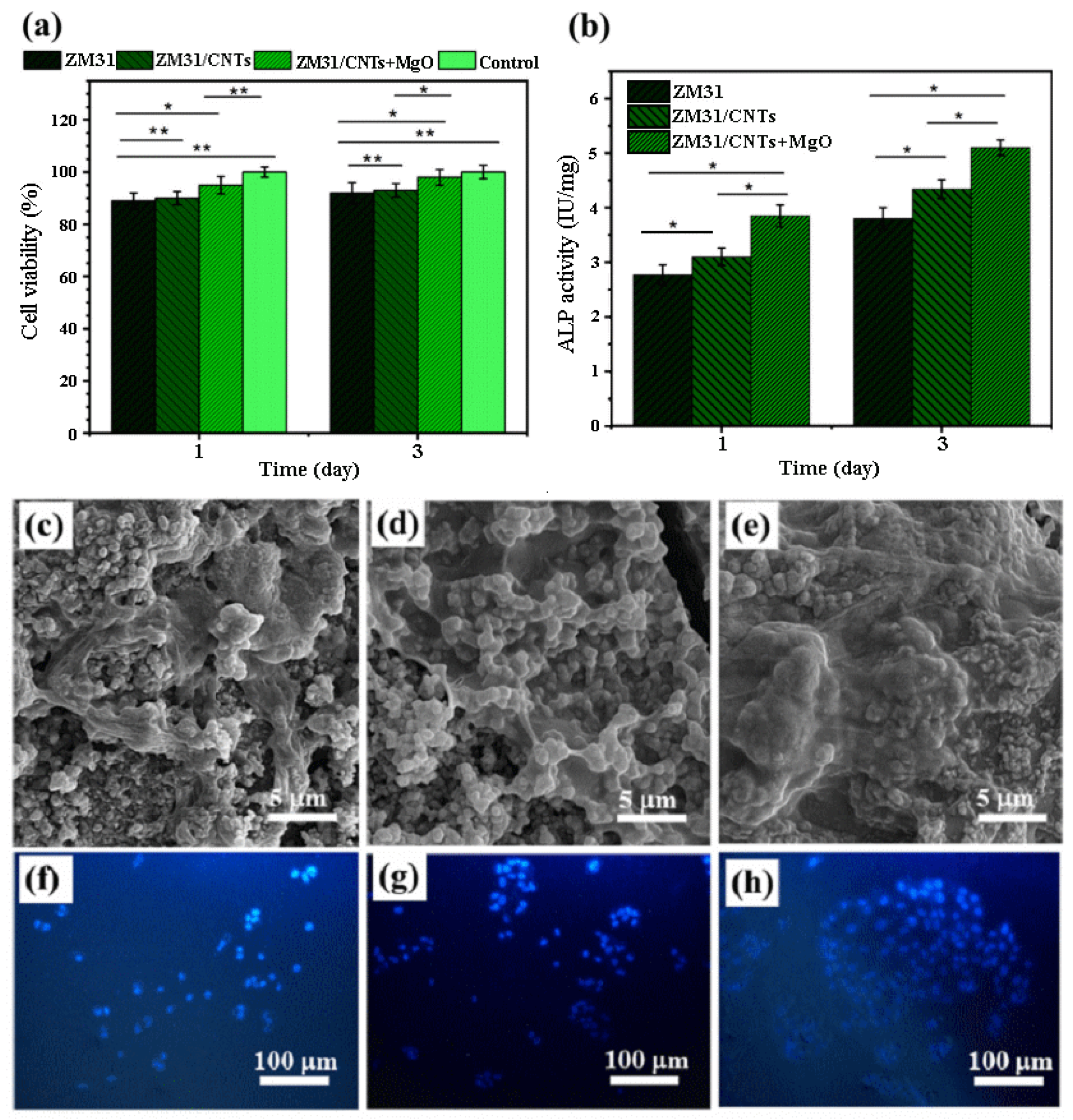 Bioengineering 11 00508 g004