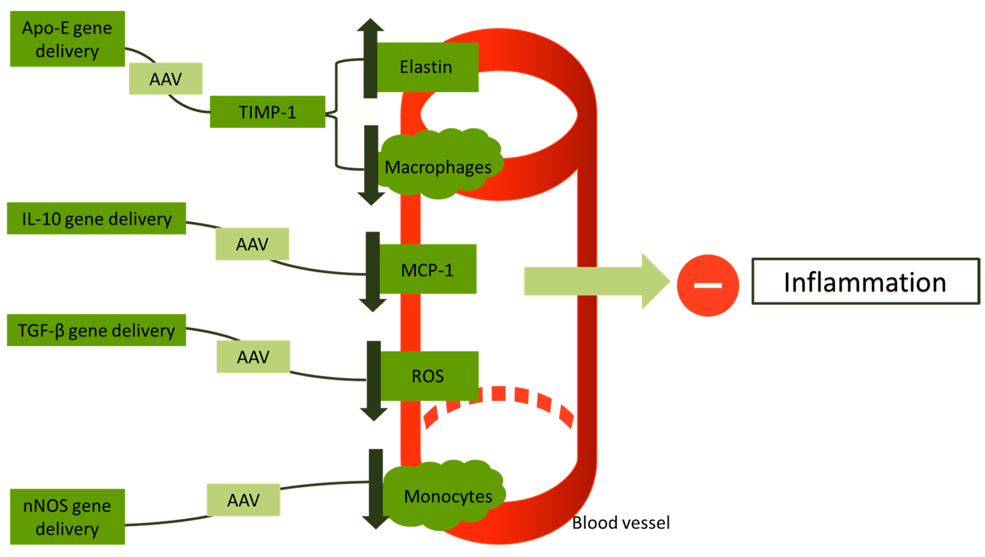 Biologics 04 00010 g003