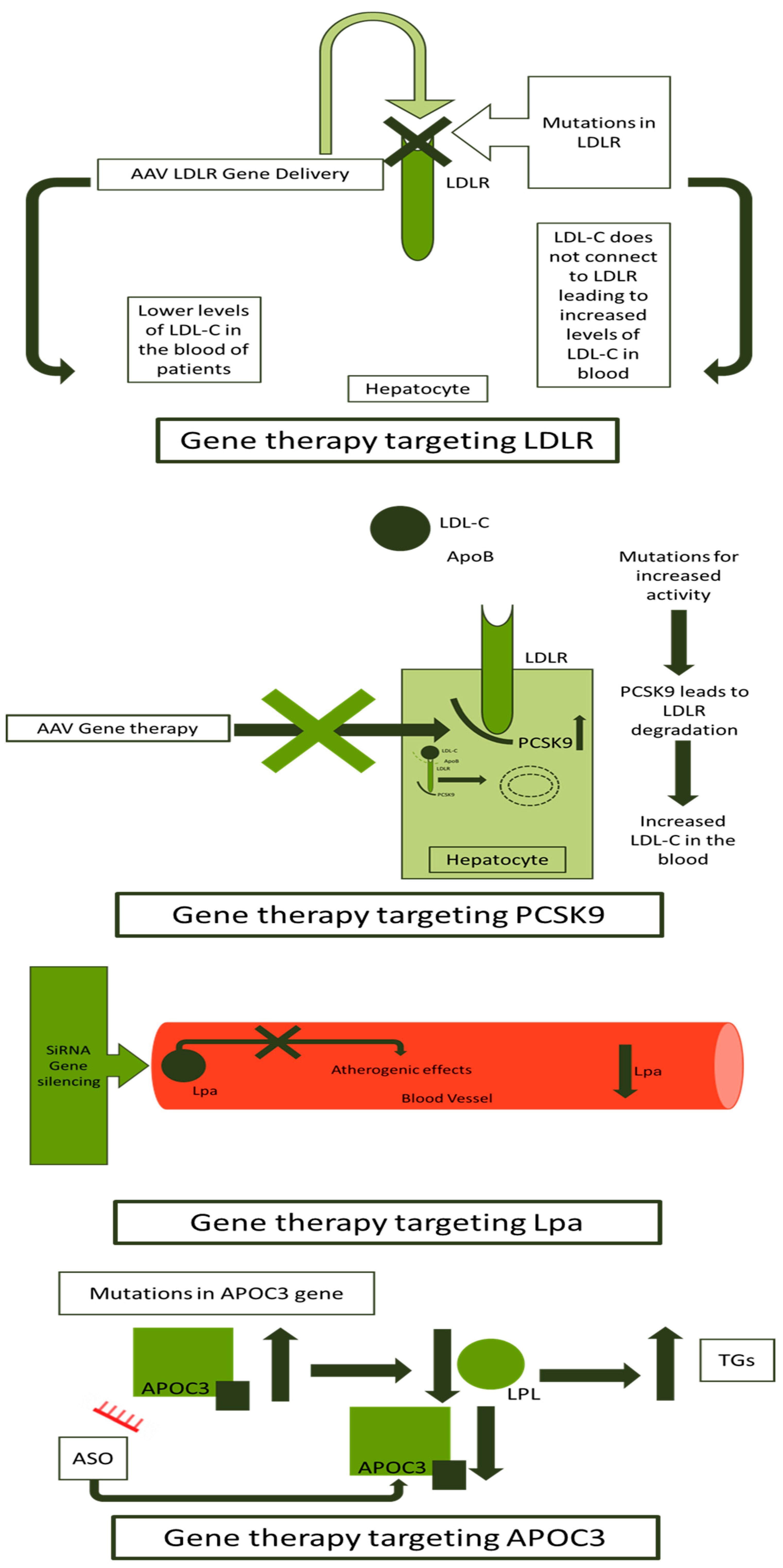 Biologics 04 00010 g004