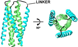 Biology 01 00311 i002
