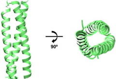 Biology 01 00311 i003