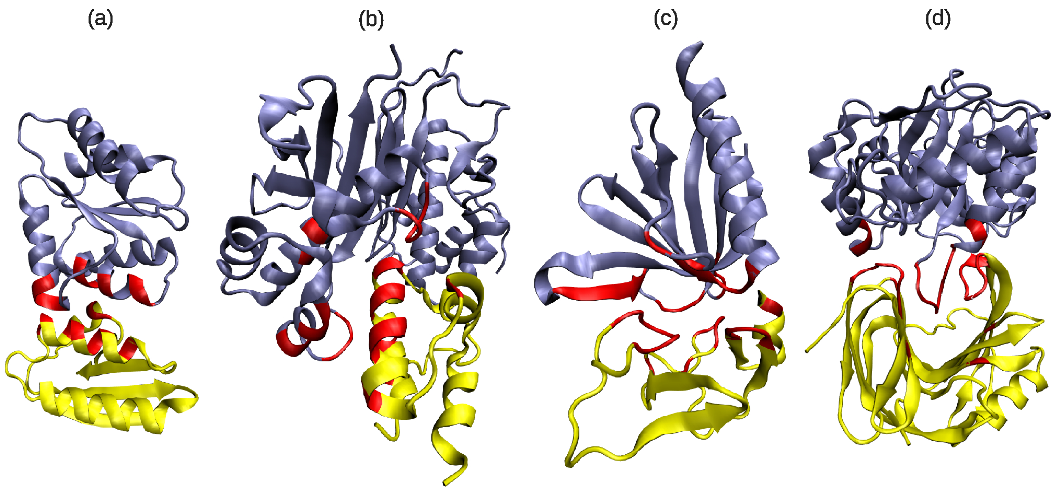 Biology 04 00327 g003