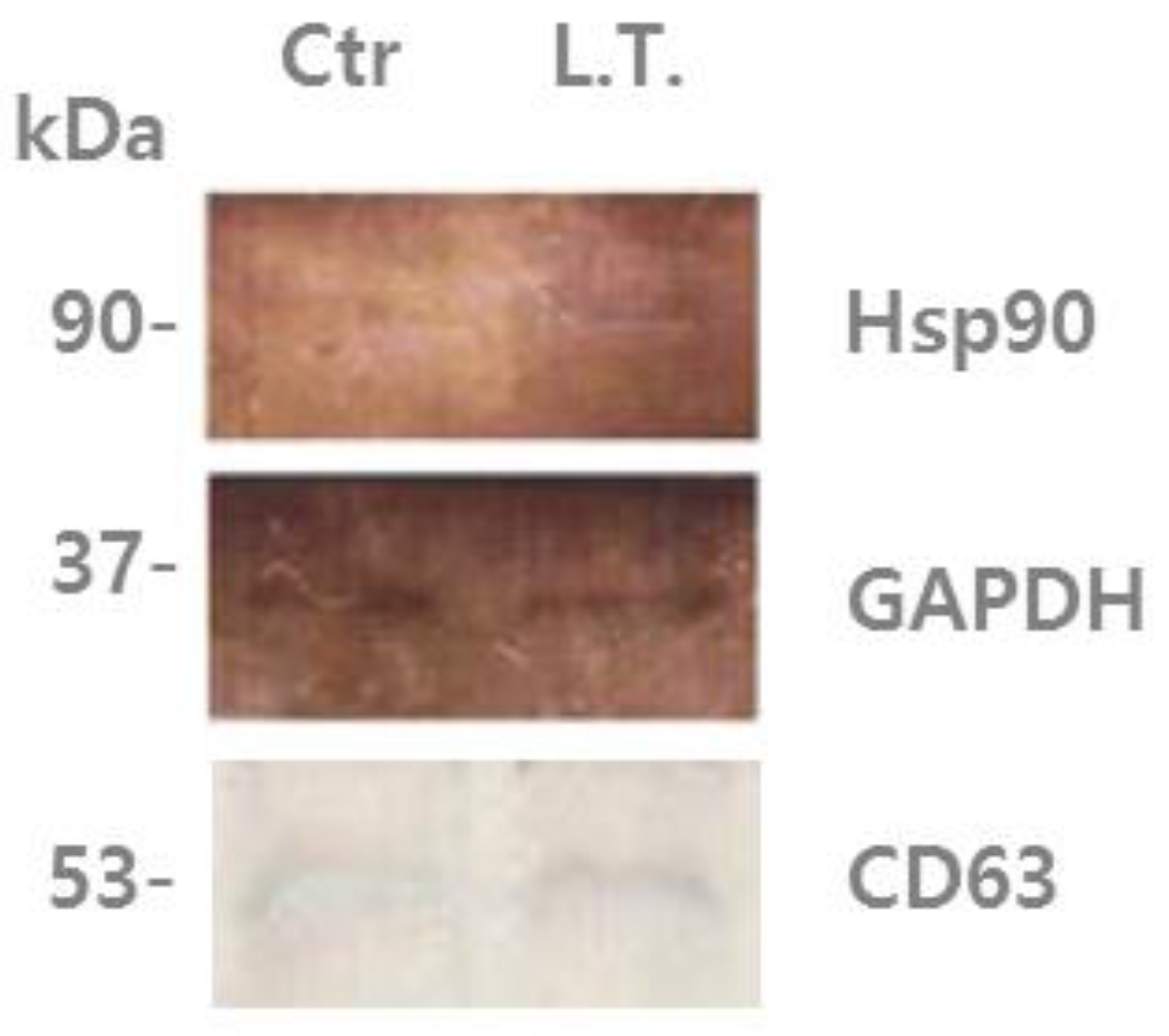Biology 05 00050 g002