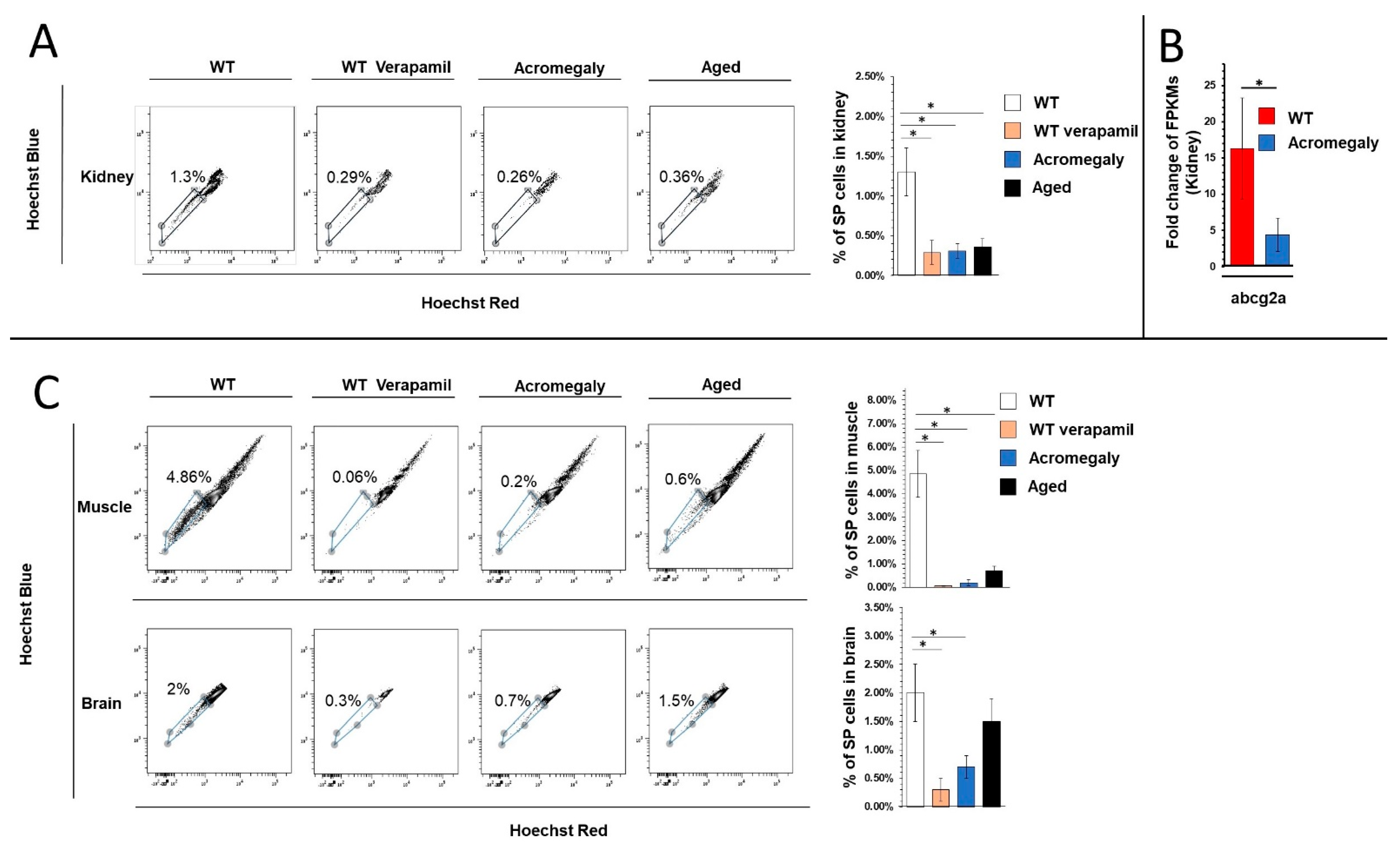 Biology 09 00120 g001a Biology 09 00120 g001a