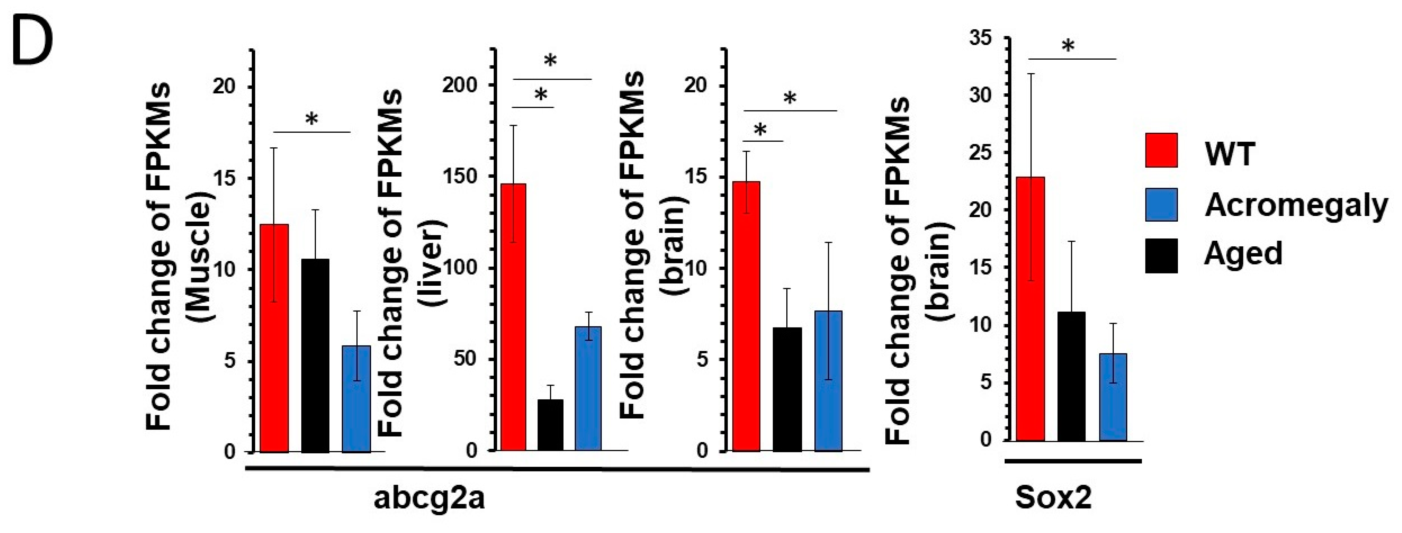 Biology 09 00120 g001b Biology 09 00120 g001b
