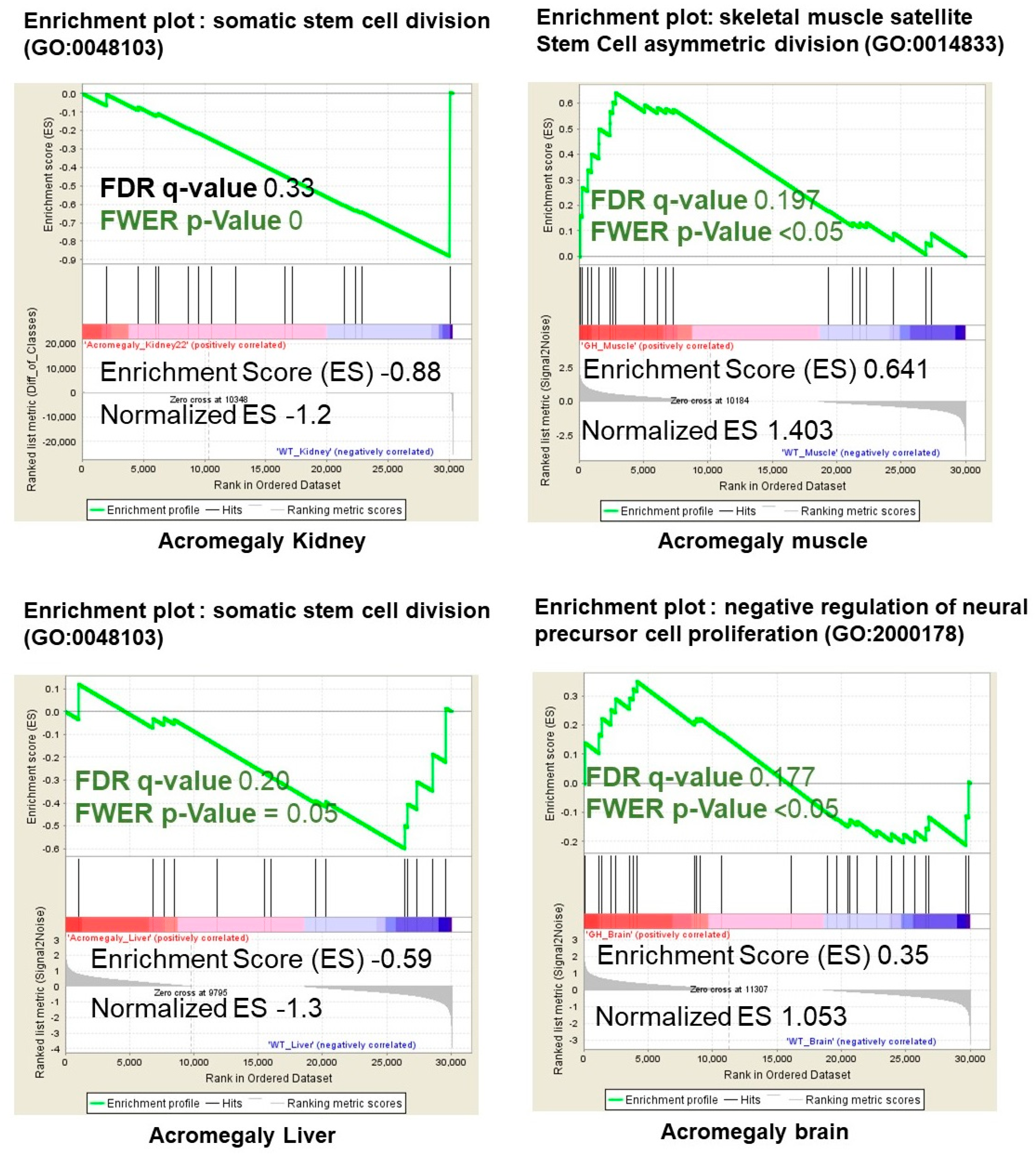 Biology 09 00120 g002 Biology 09 00120 g002