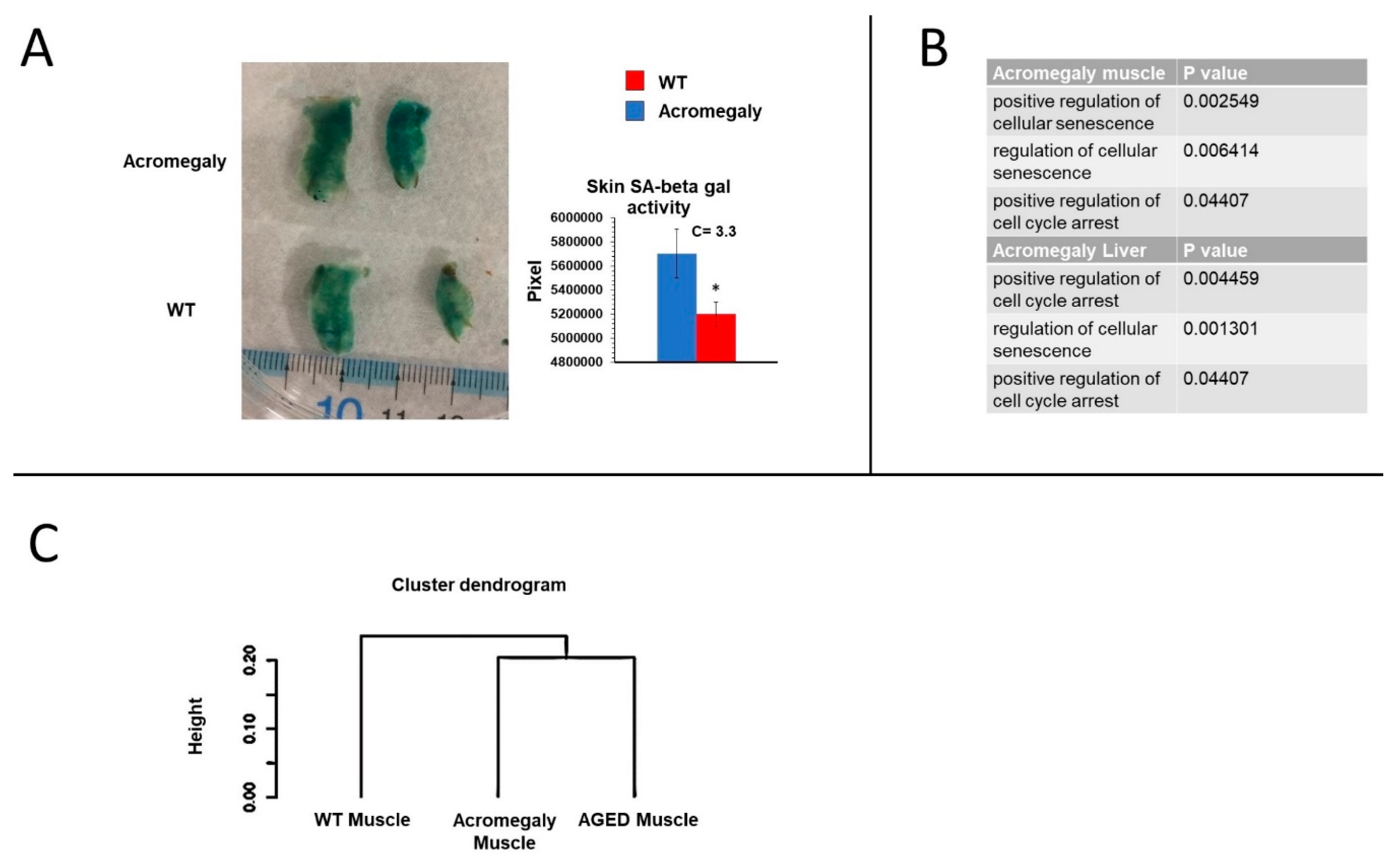 Biology 09 00120 g003 Biology 09 00120 g003