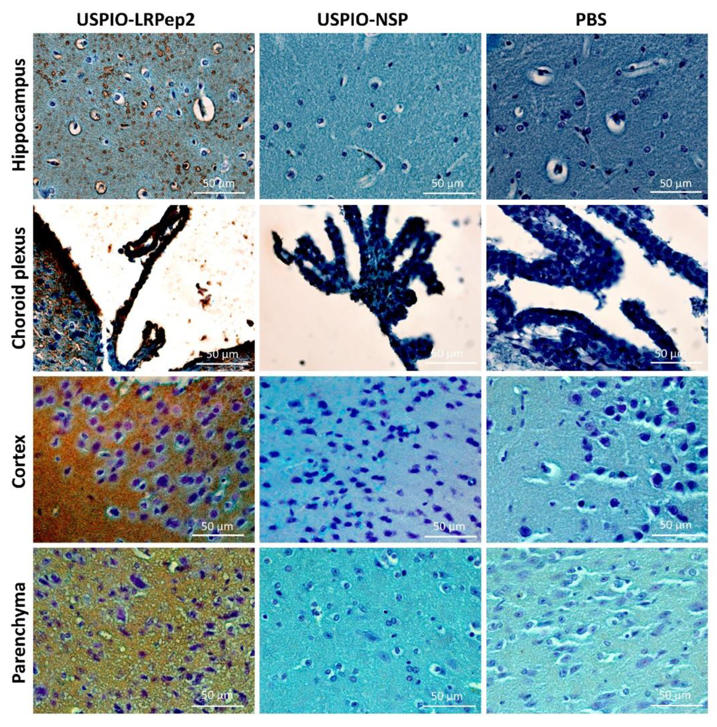 Biology 09 00161 g009