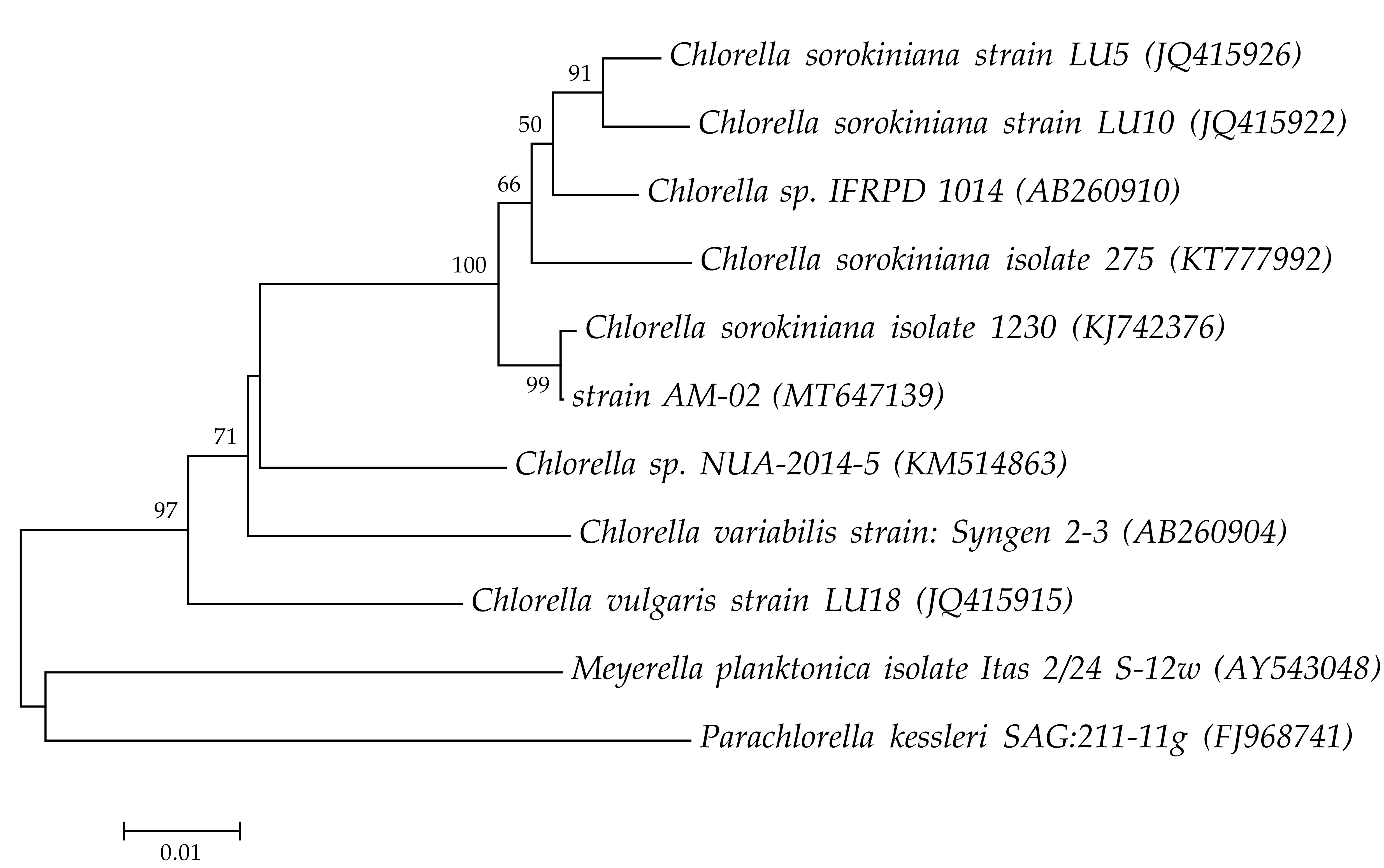 Biology 09 00169 g001