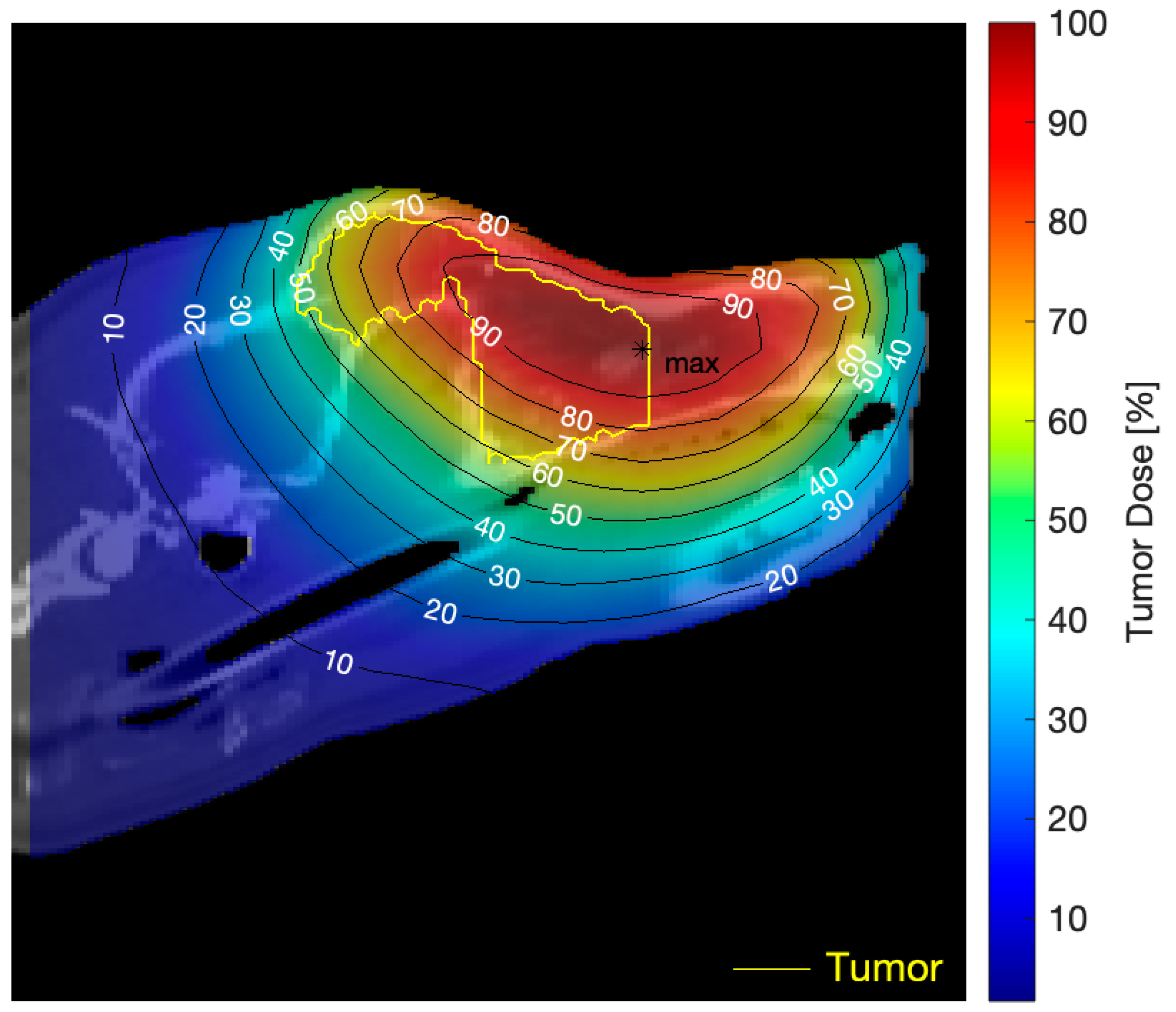 Biology 09 00327 g004