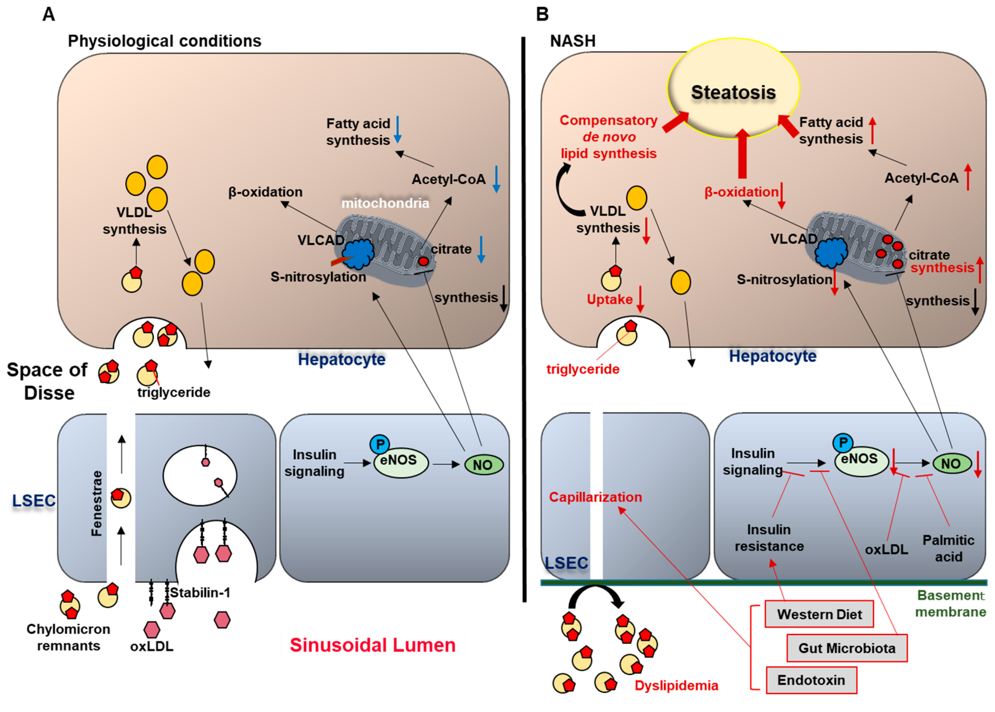 Biology 09 00395 g002