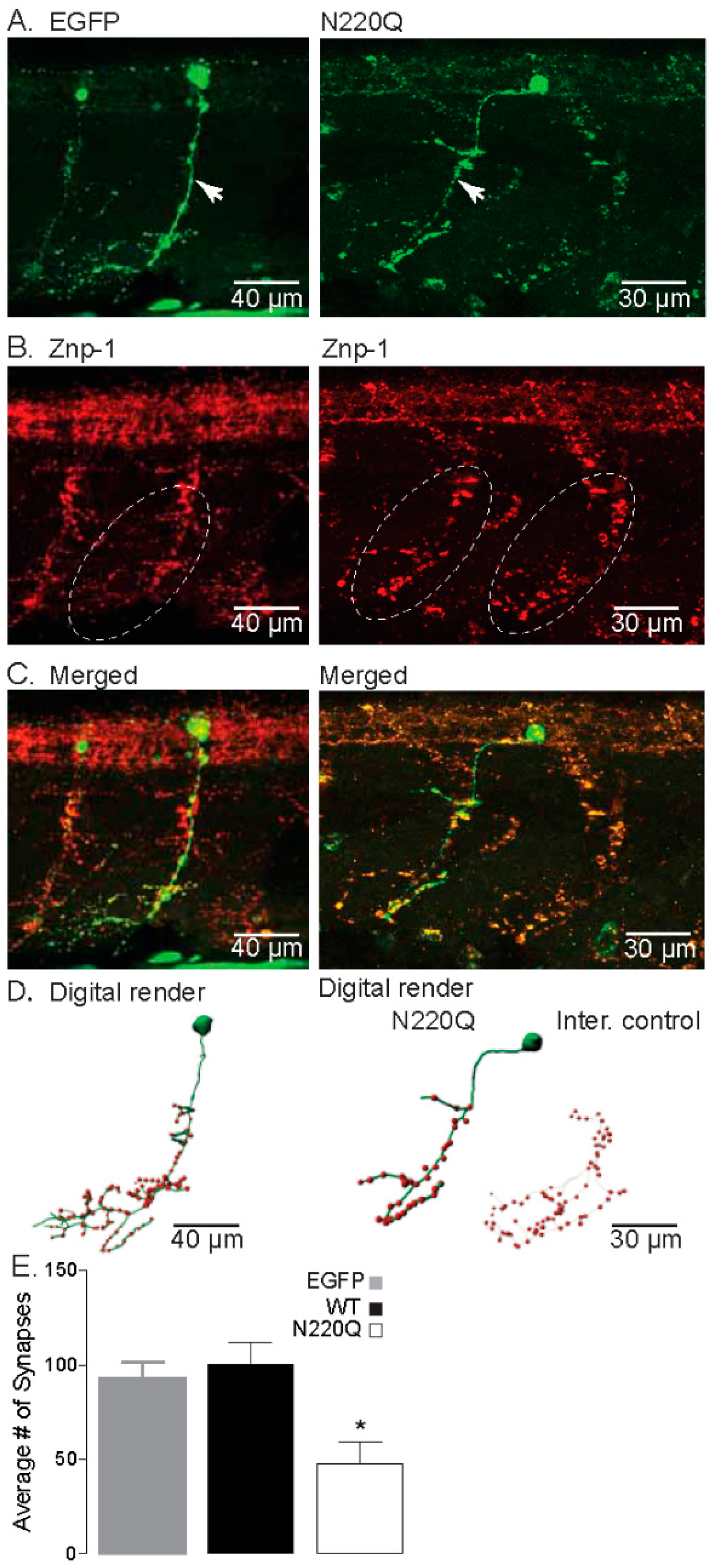 Biology 10 00486 g002