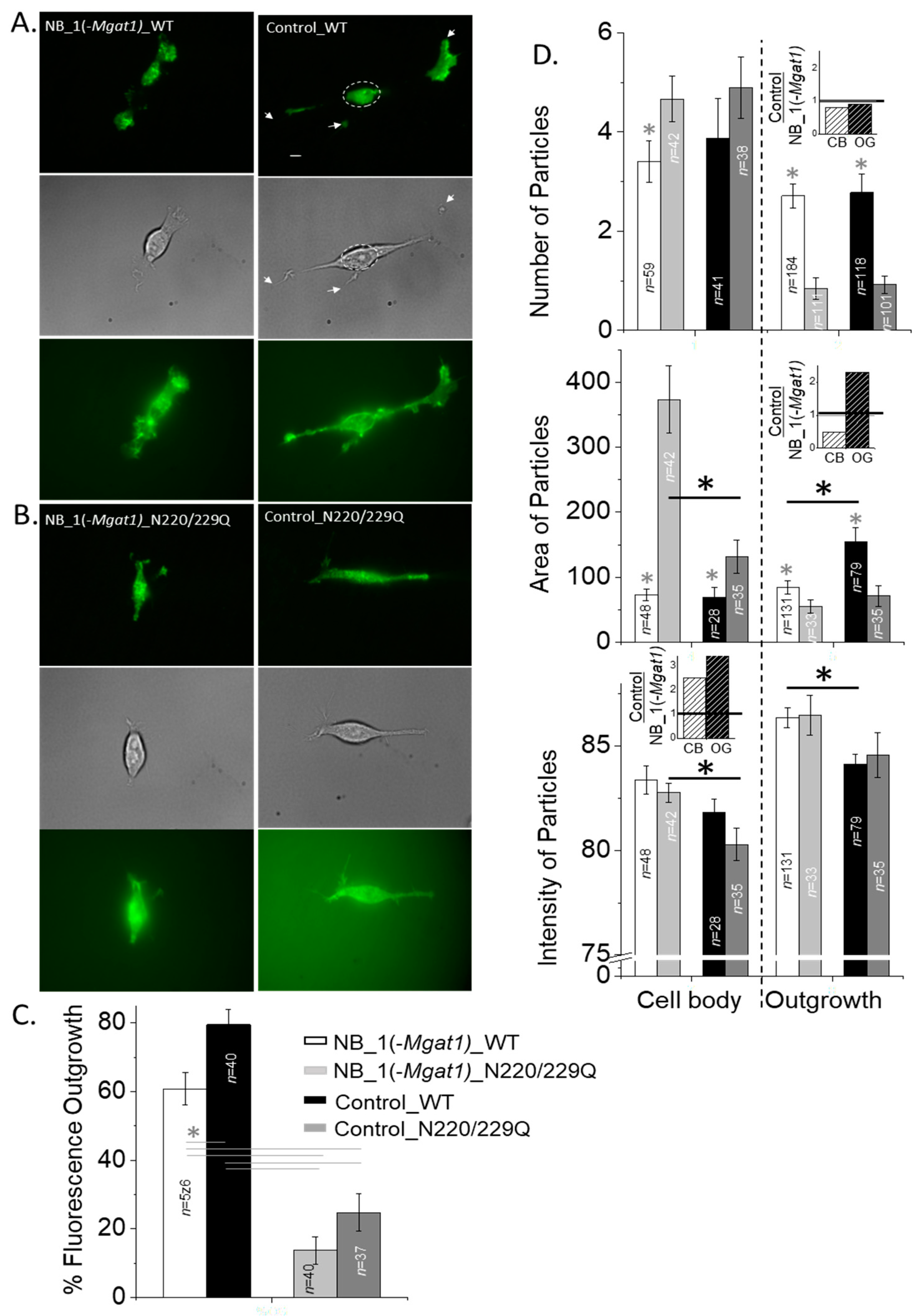 Biology 10 00486 g005