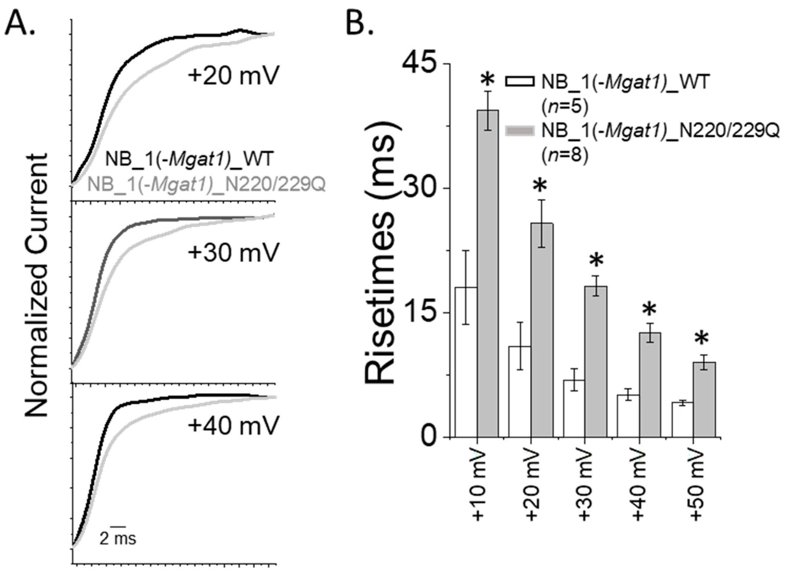 Biology 10 00486 g007