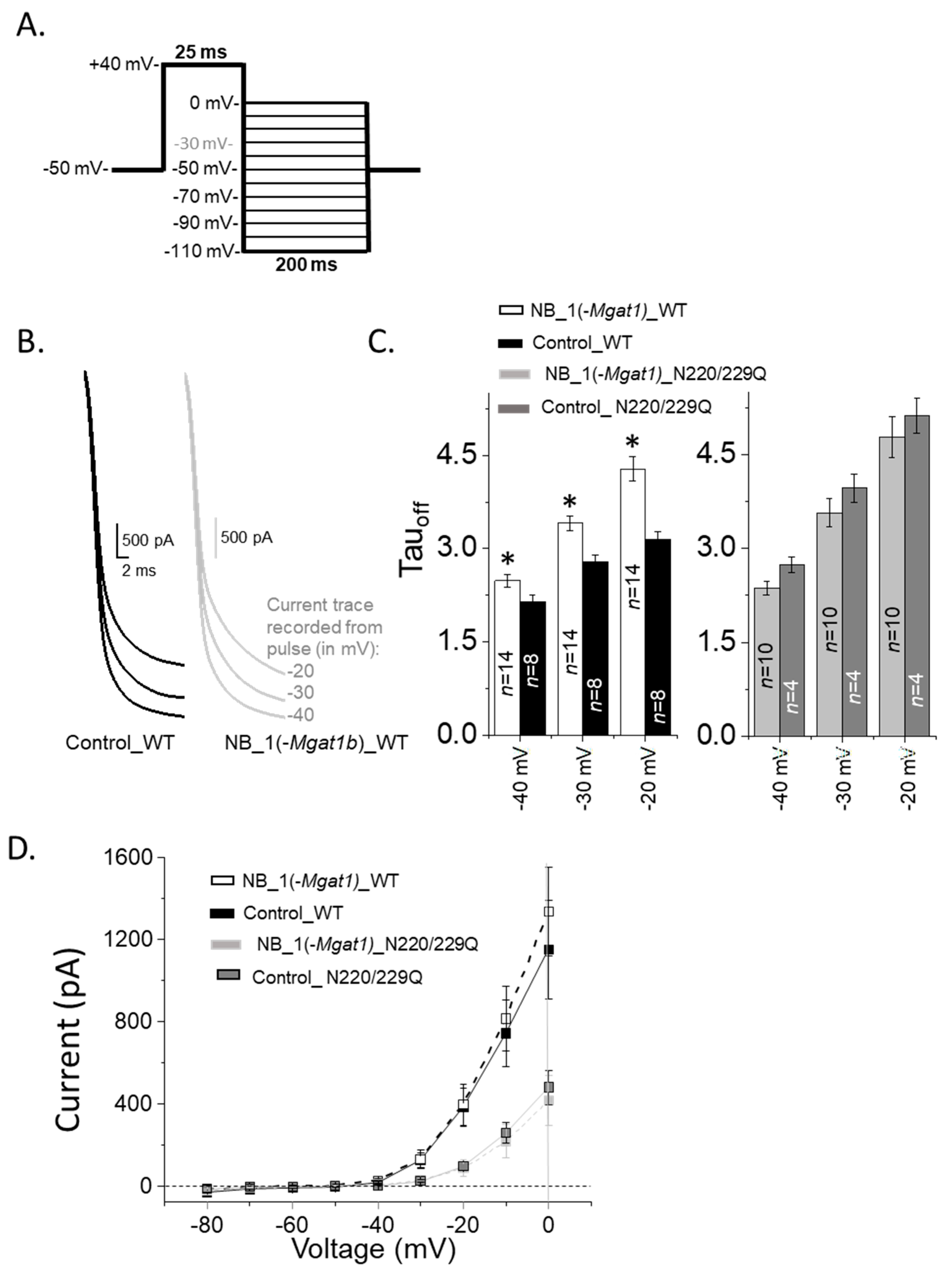 Biology 10 00486 g008