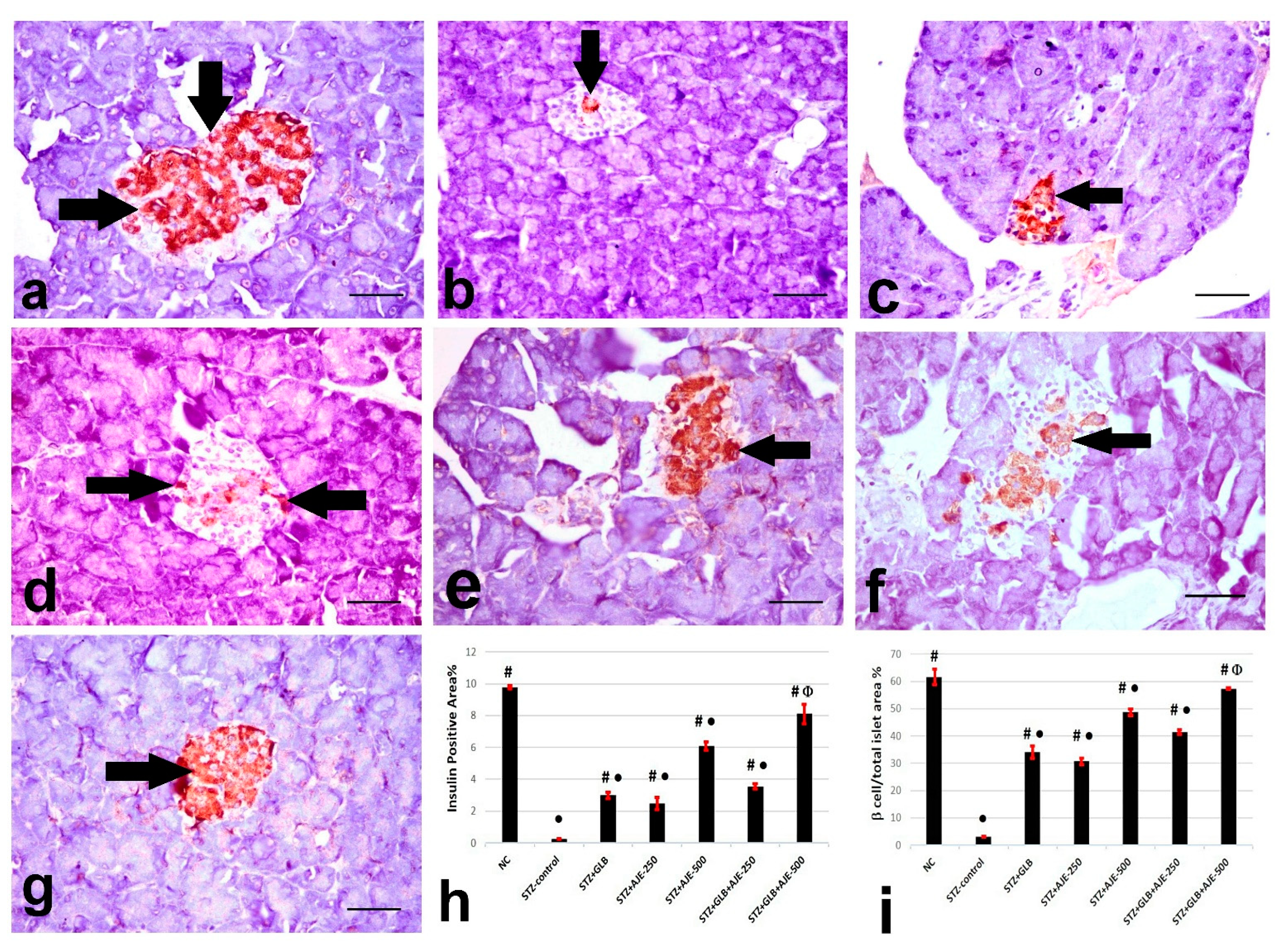 Biology 10 00796 g002