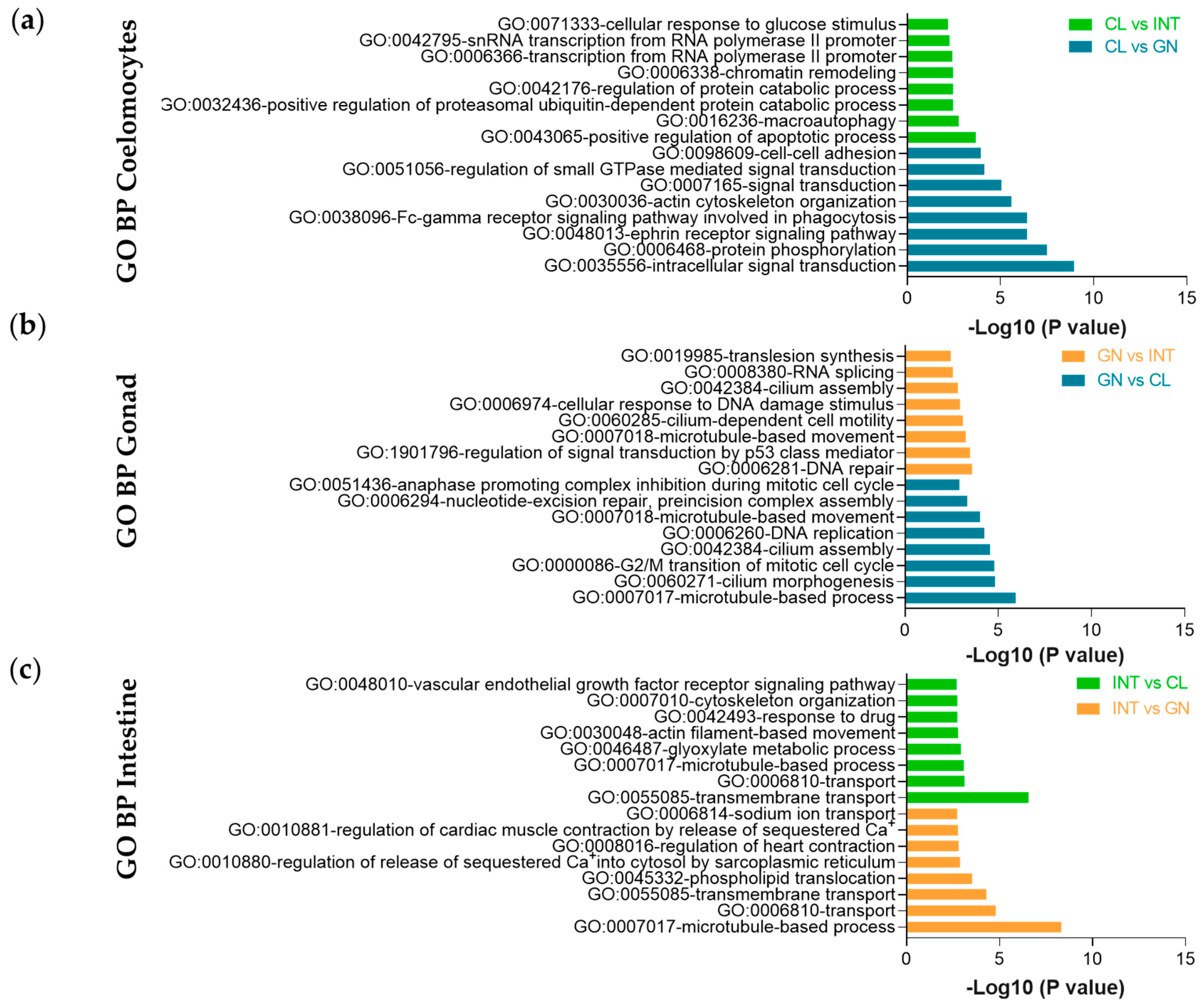 Biology 10 00995 g008