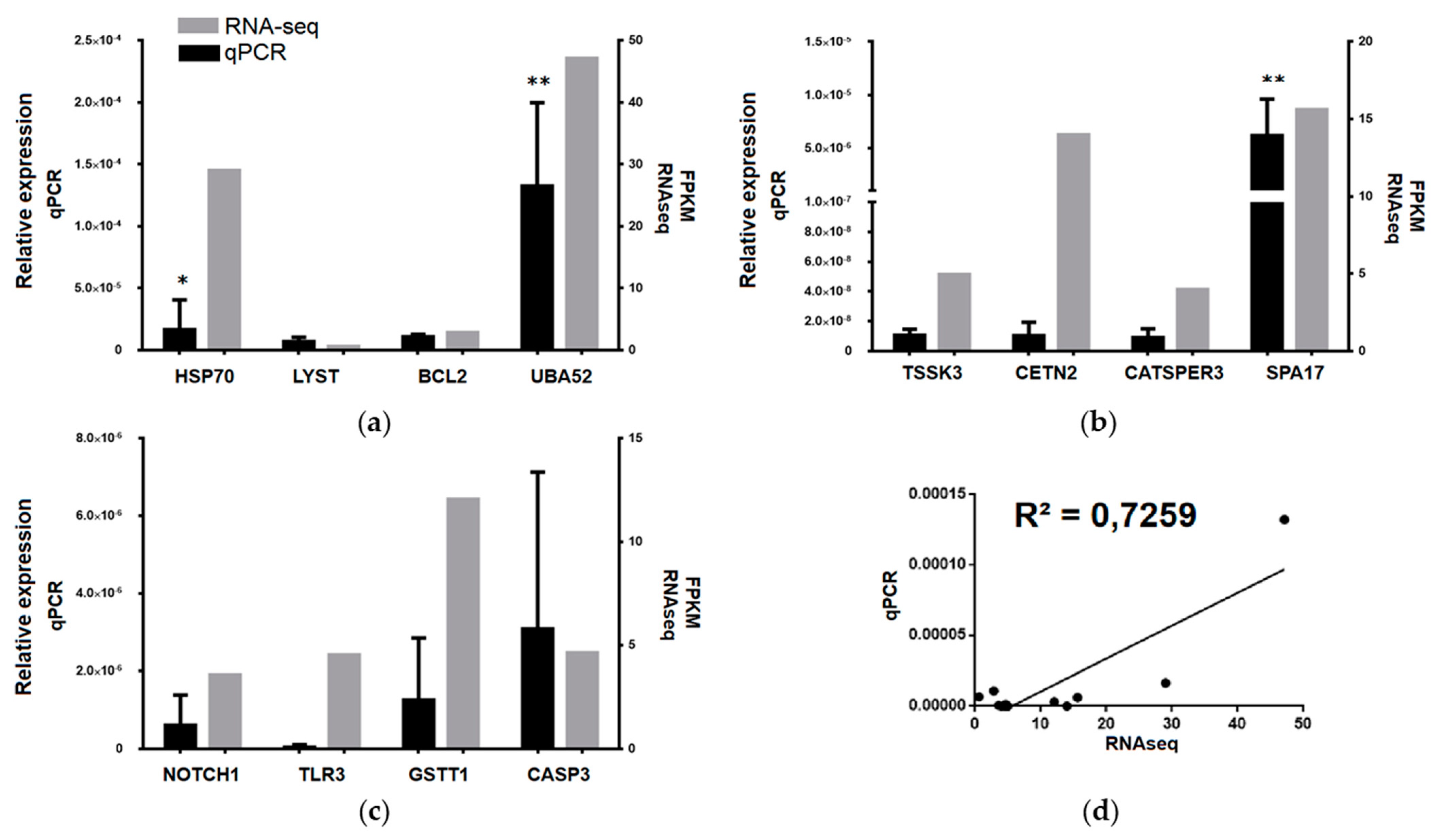 Biology 10 00995 g009