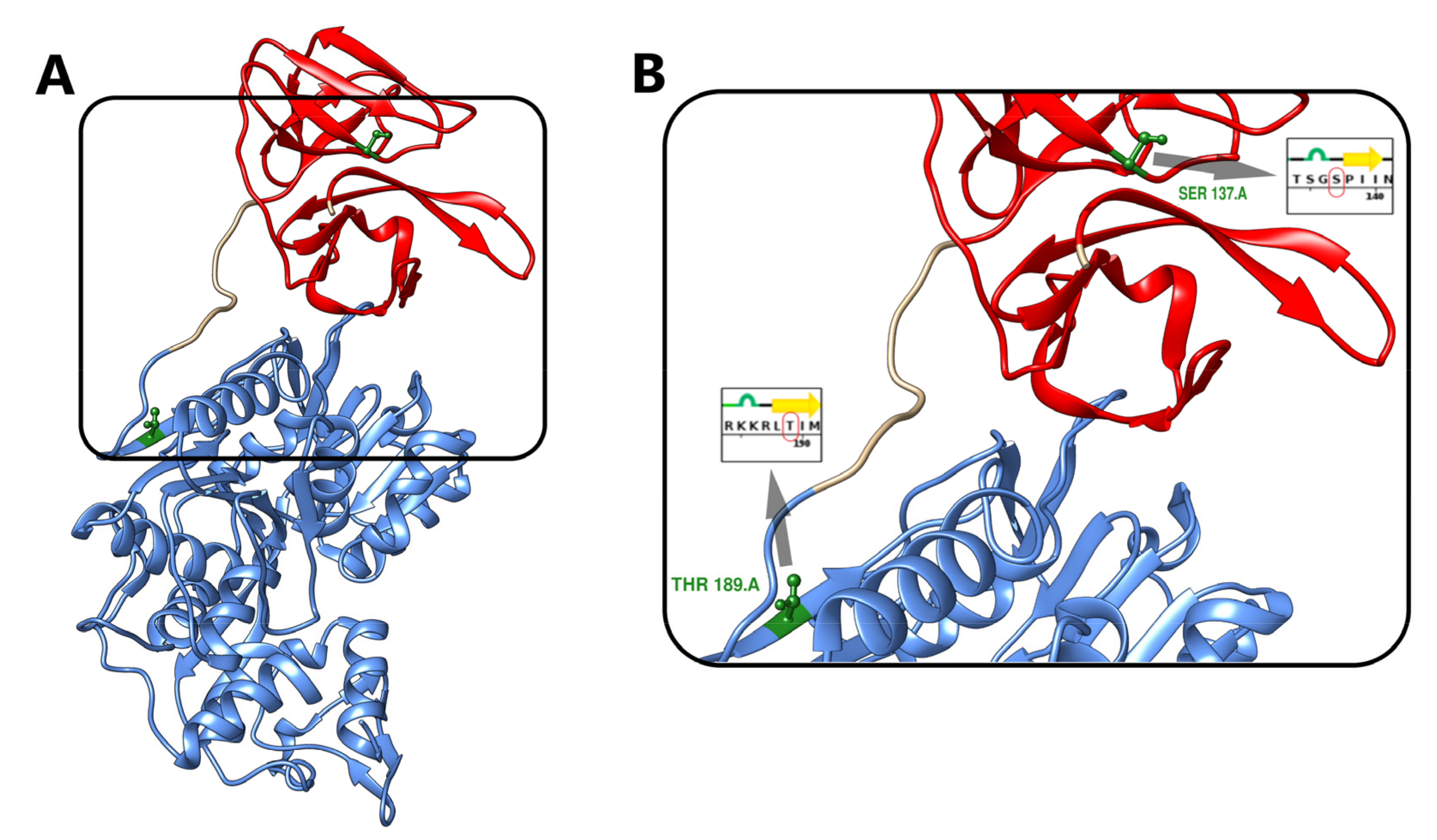 Biology 10 01067 g001