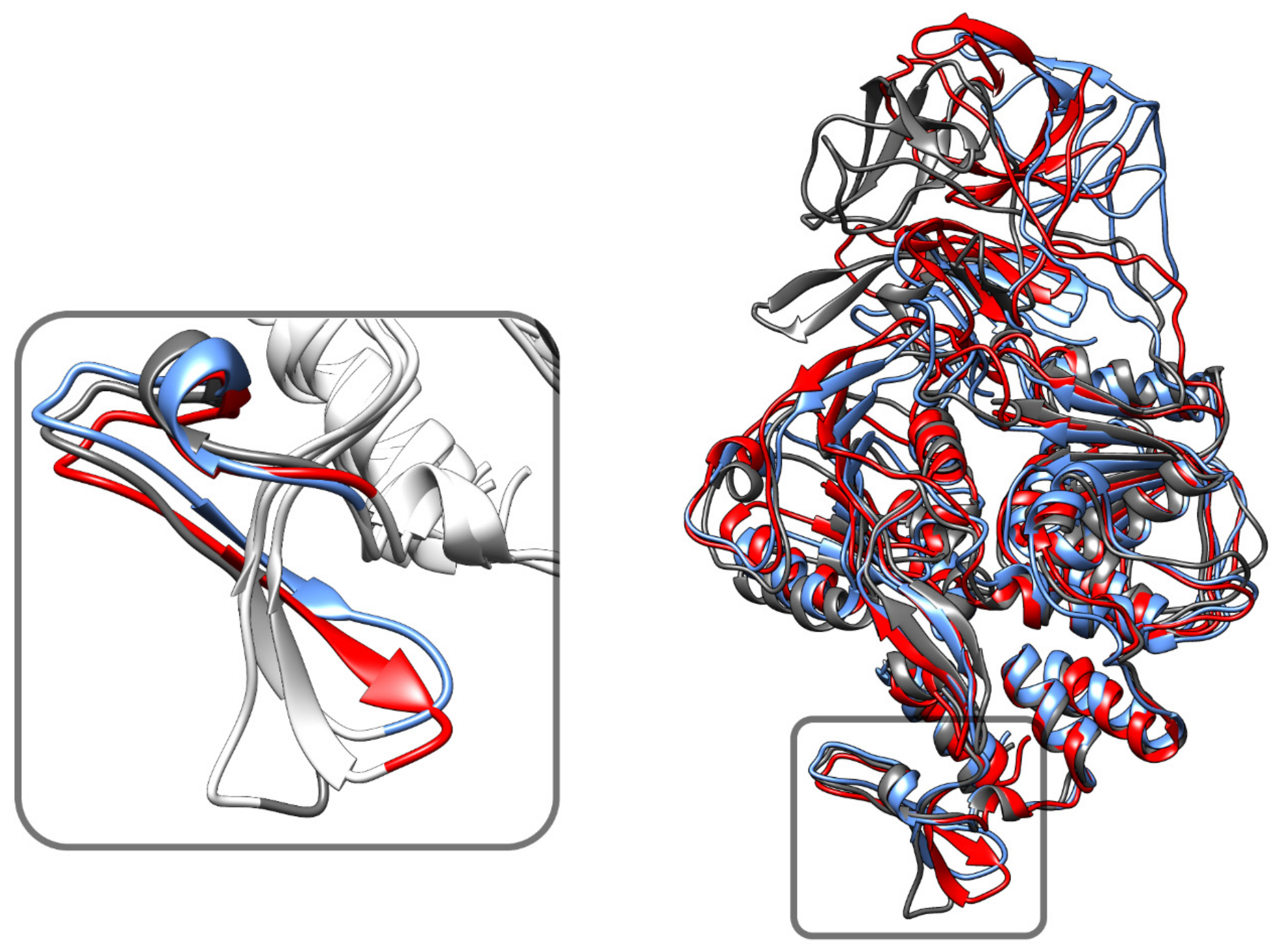 Biology 10 01067 g008