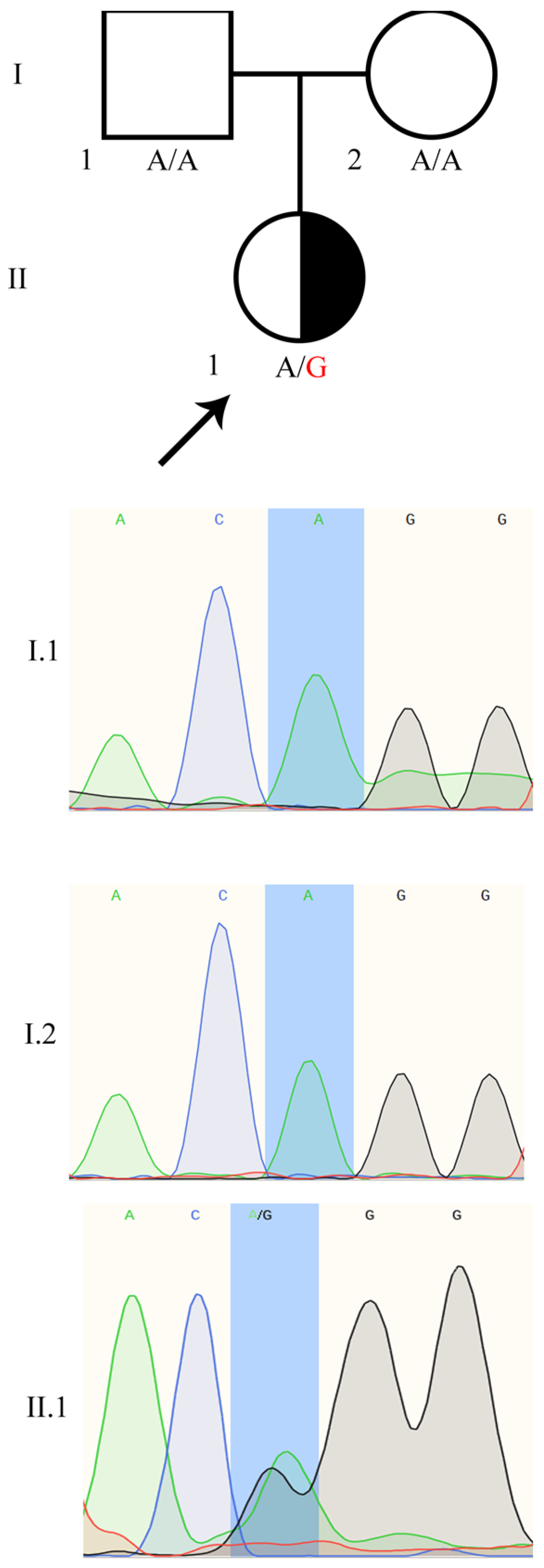 Biology 10 01248 g001