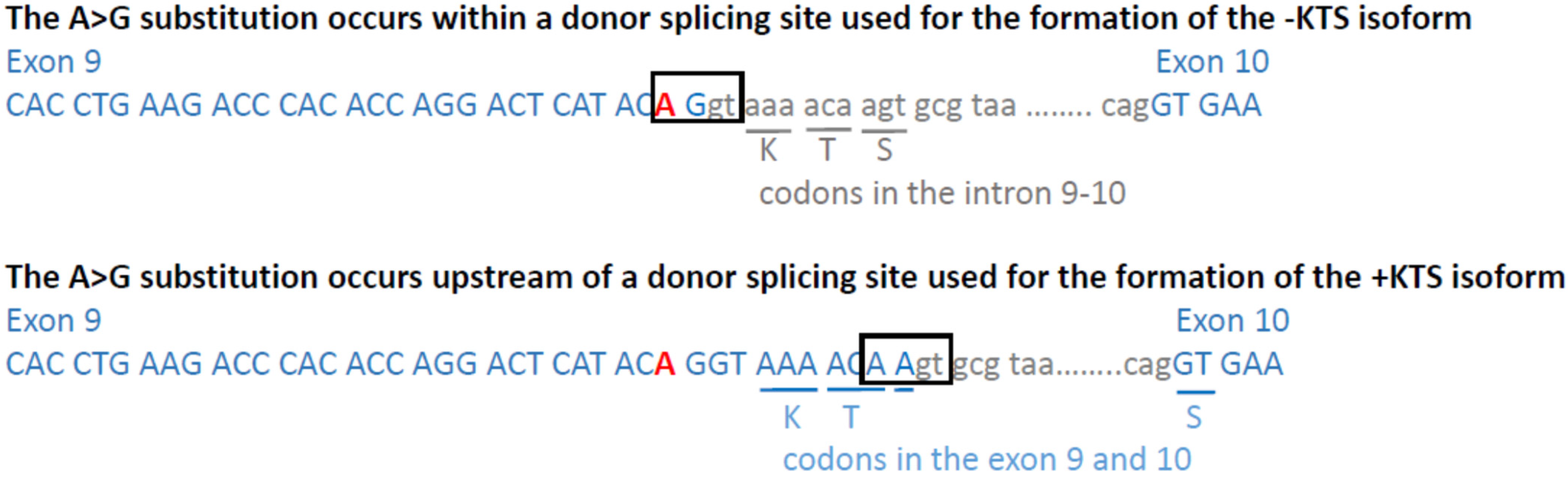 Biology 10 01248 g002