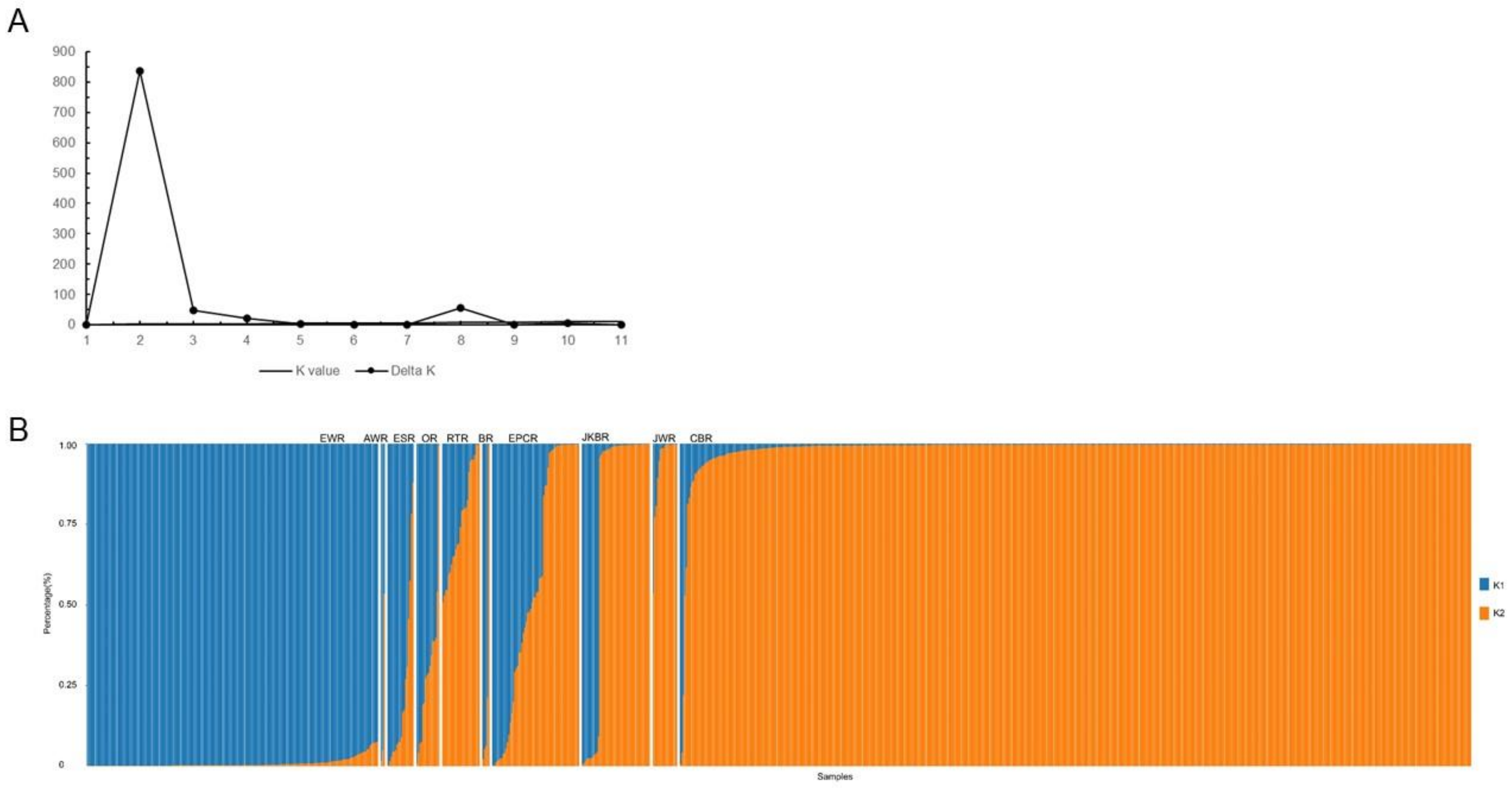 Biology 10 01250 g001