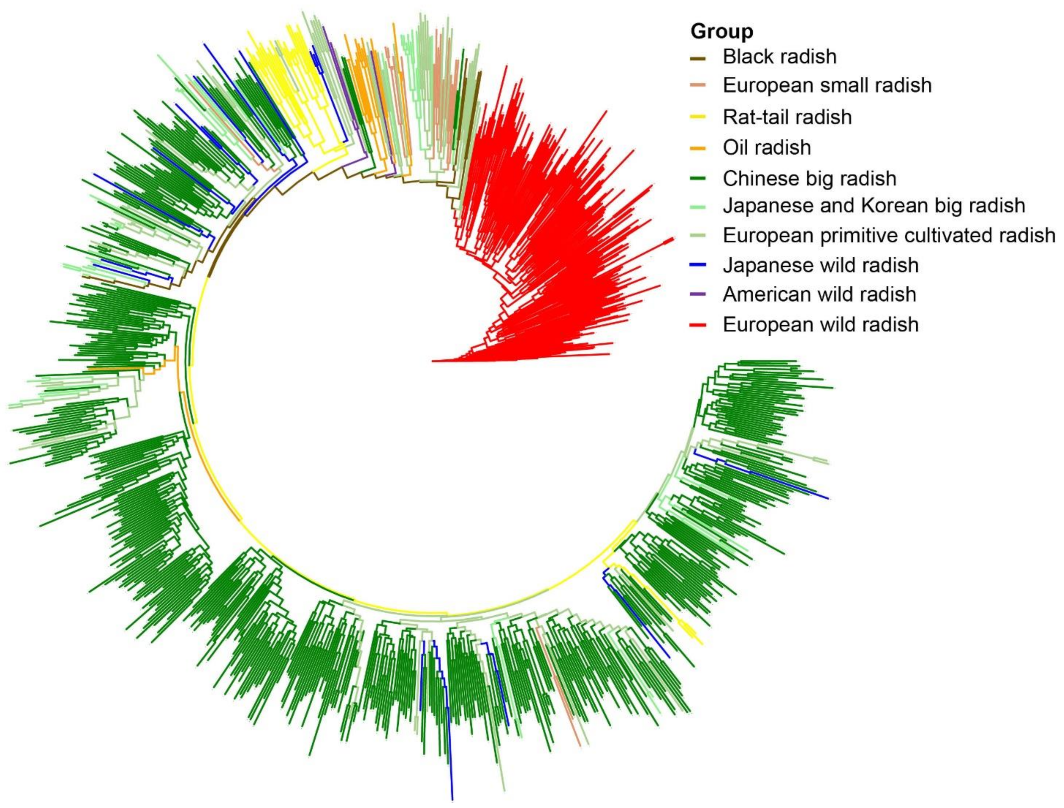 Biology 10 01250 g002