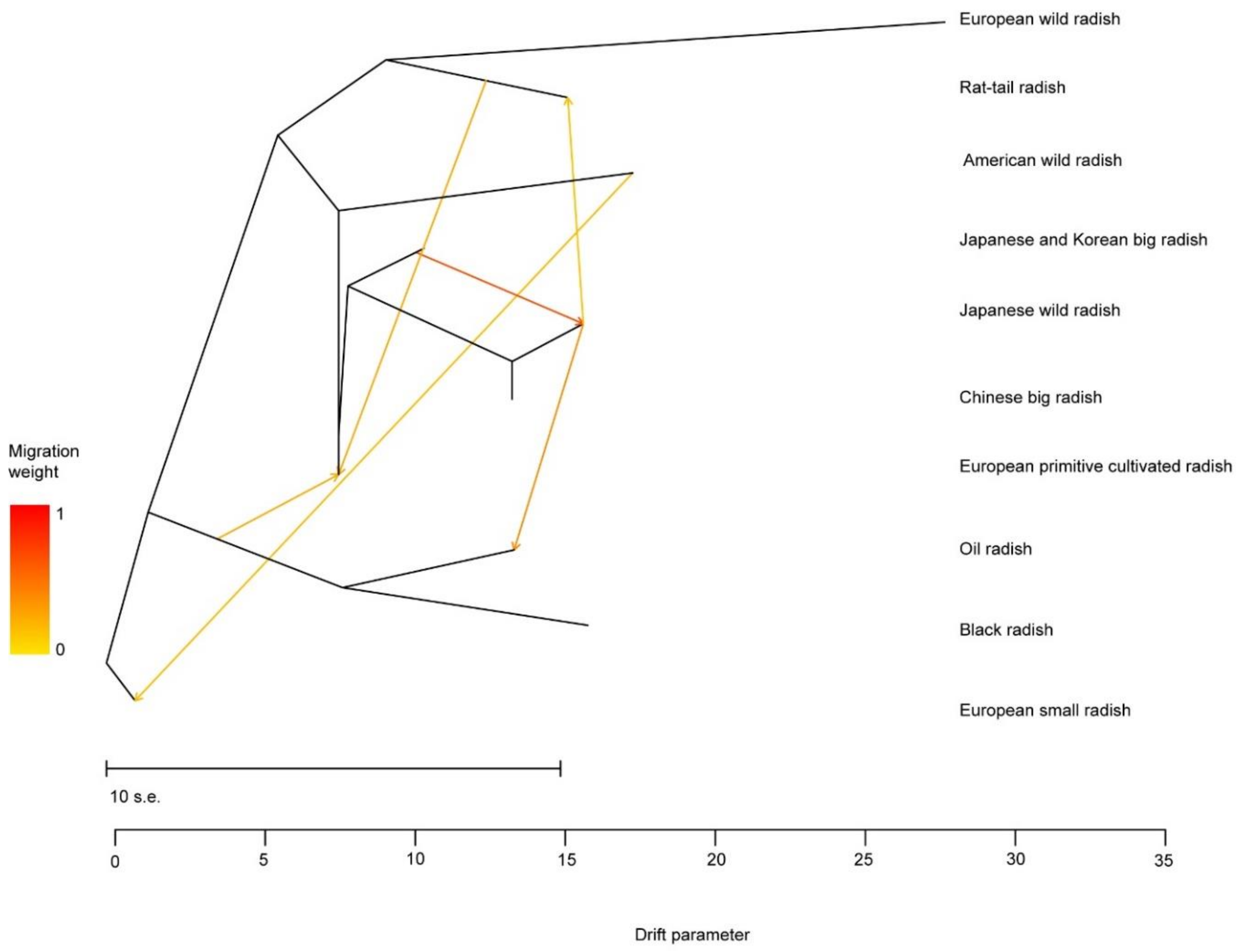 Biology 10 01250 g004