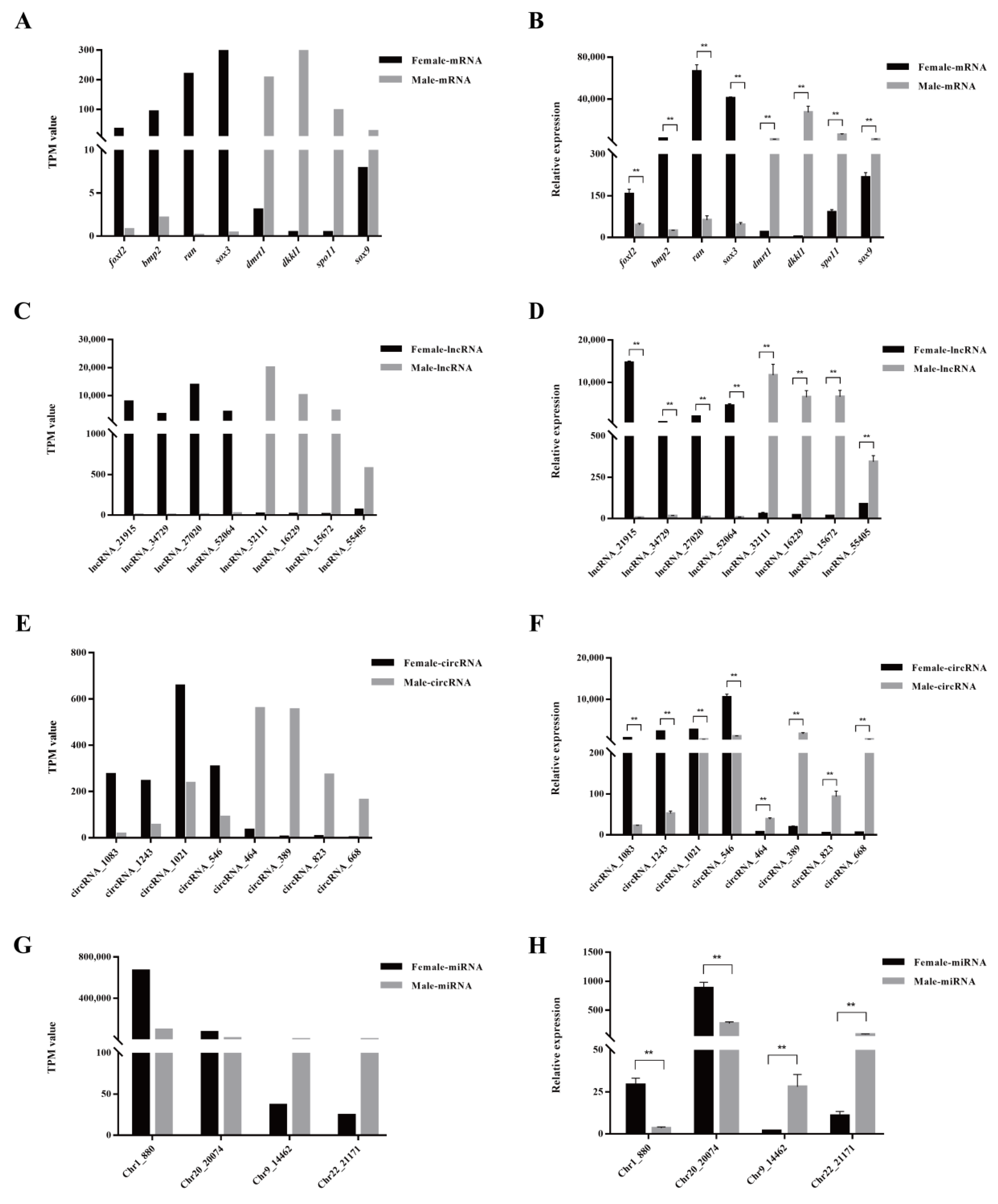 Biology 11 00834 g003 Biology 11 00834 g003