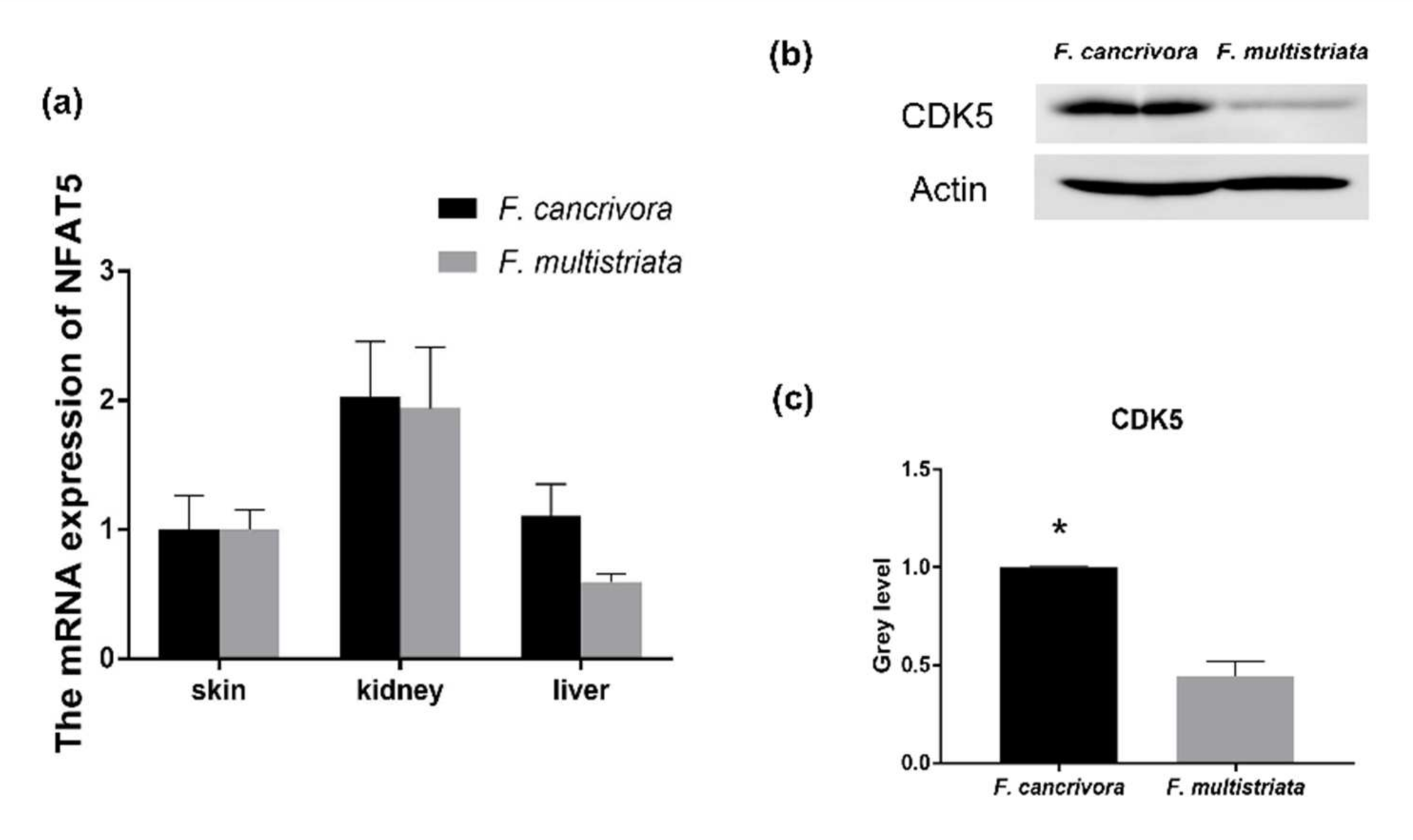 Biology 11 00858 g004