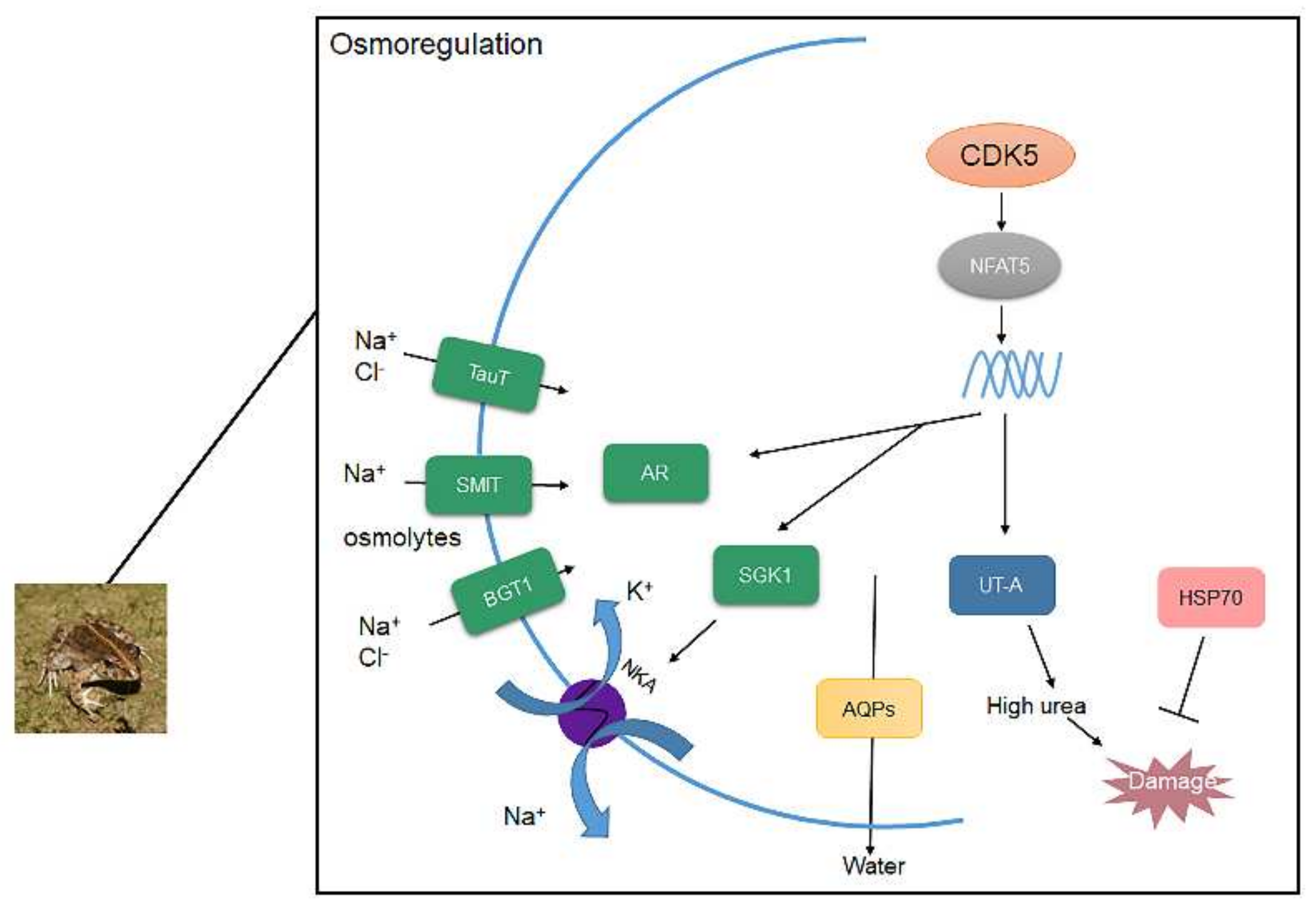 Biology 11 00858 g005