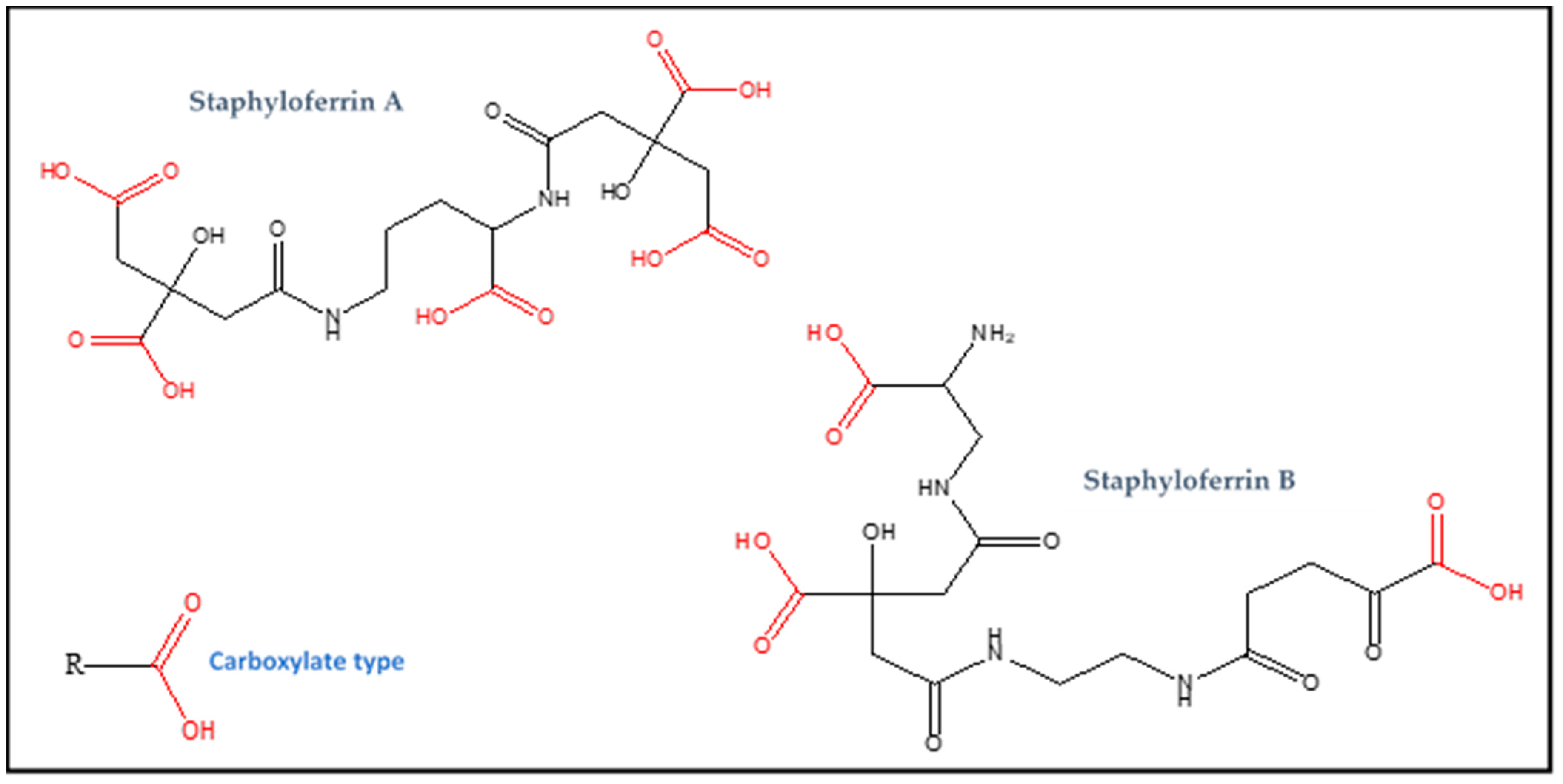 Biology 11 01525 g001
