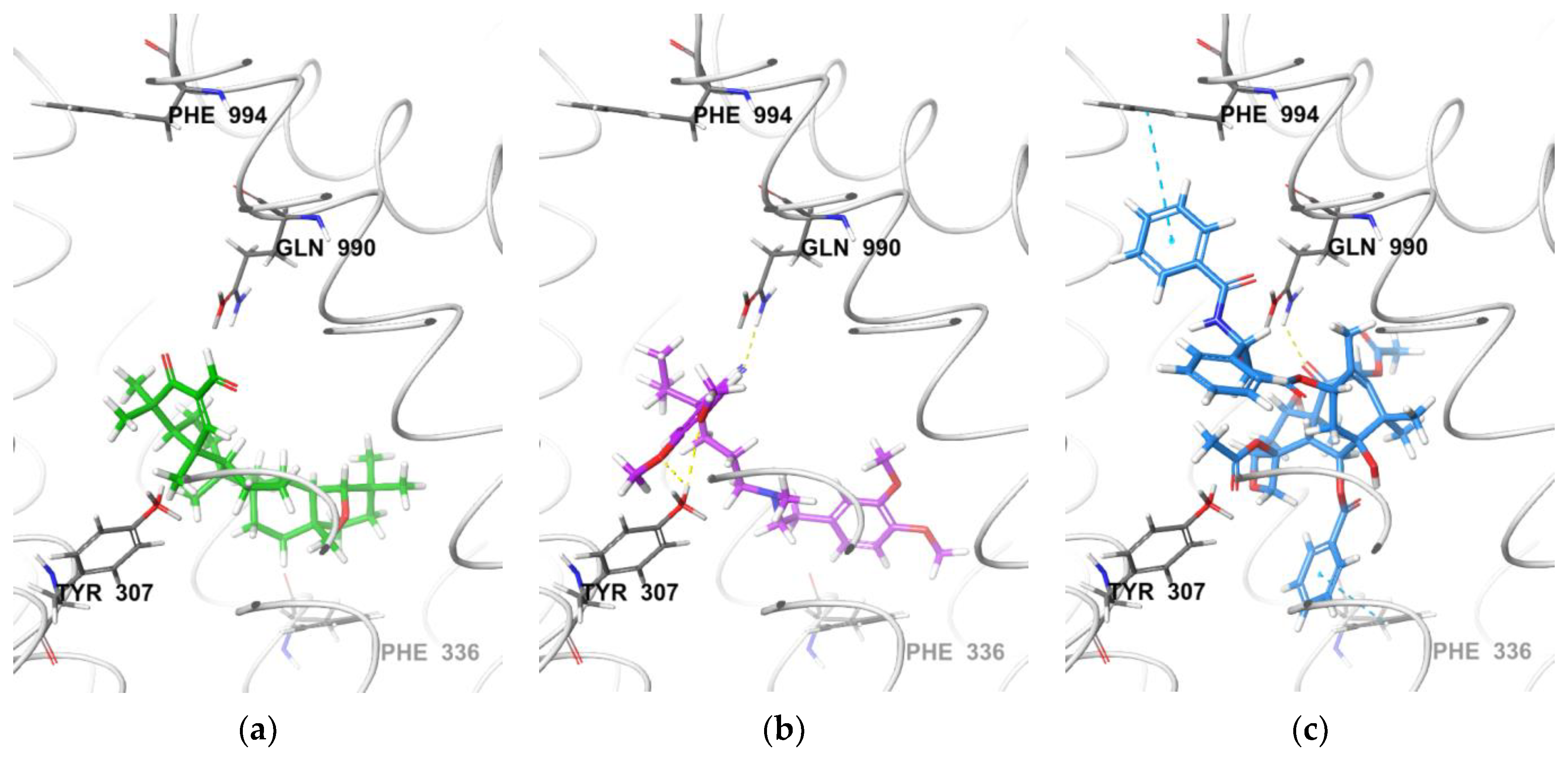 Biology 12 00415 g002