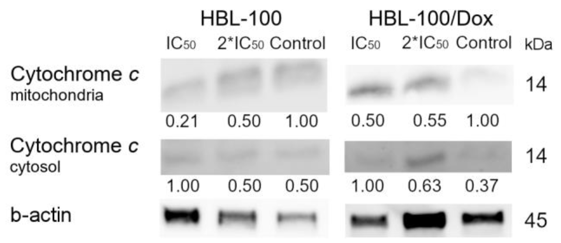 Biology 12 00415 g009
