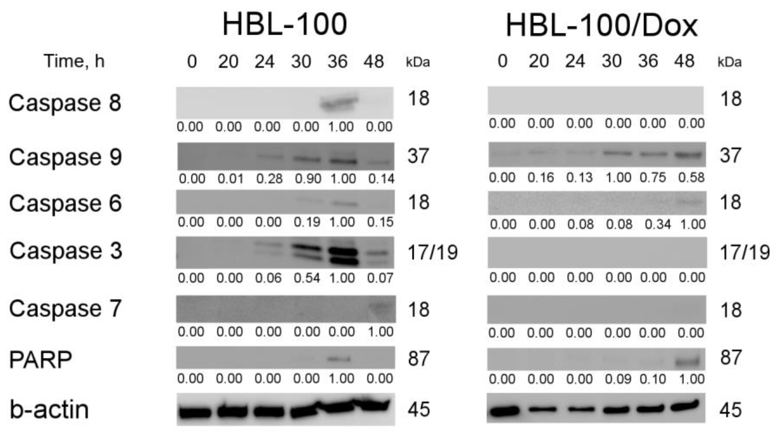 Biology 12 00415 g010