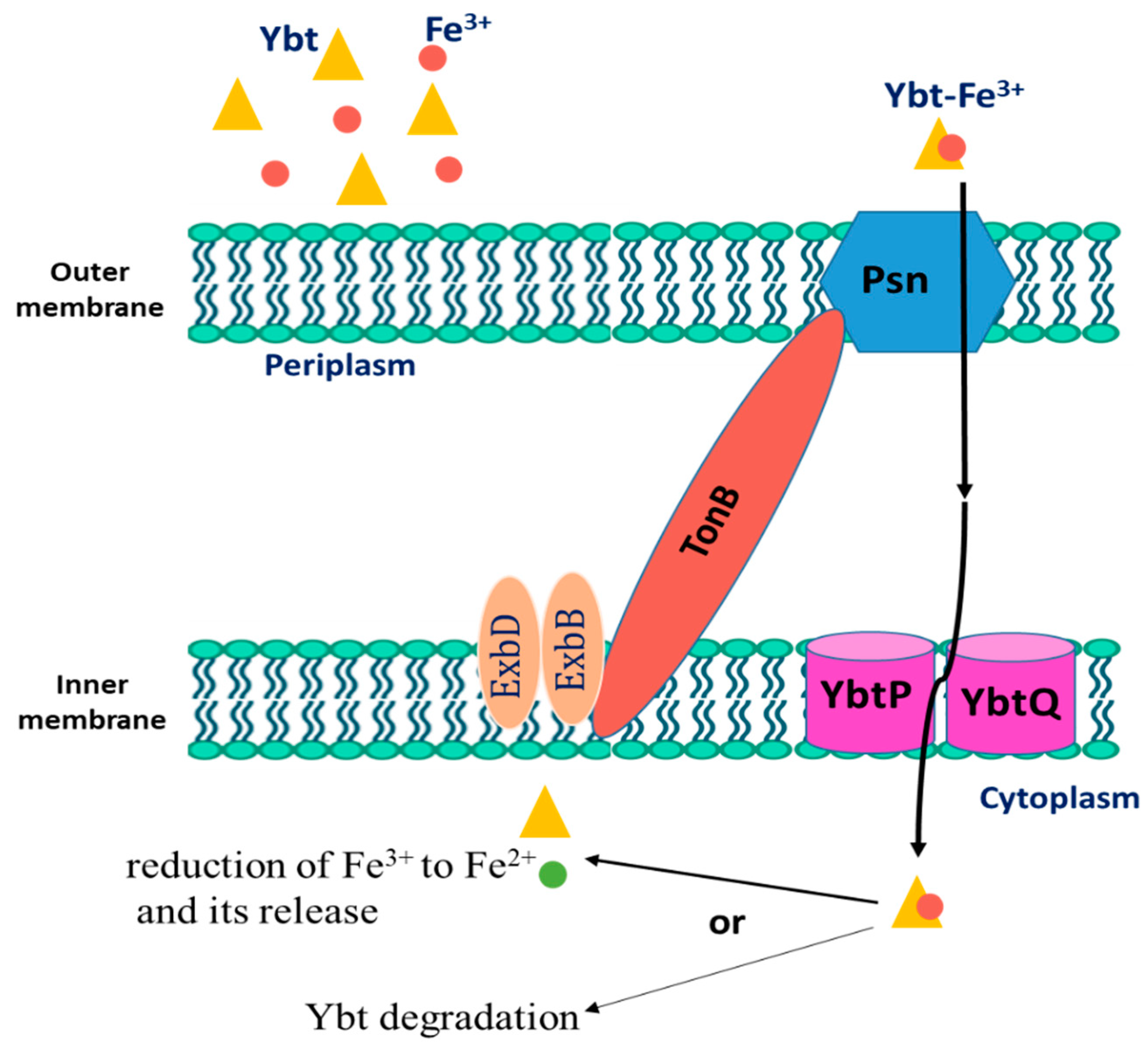 Biology 12 00598 g002