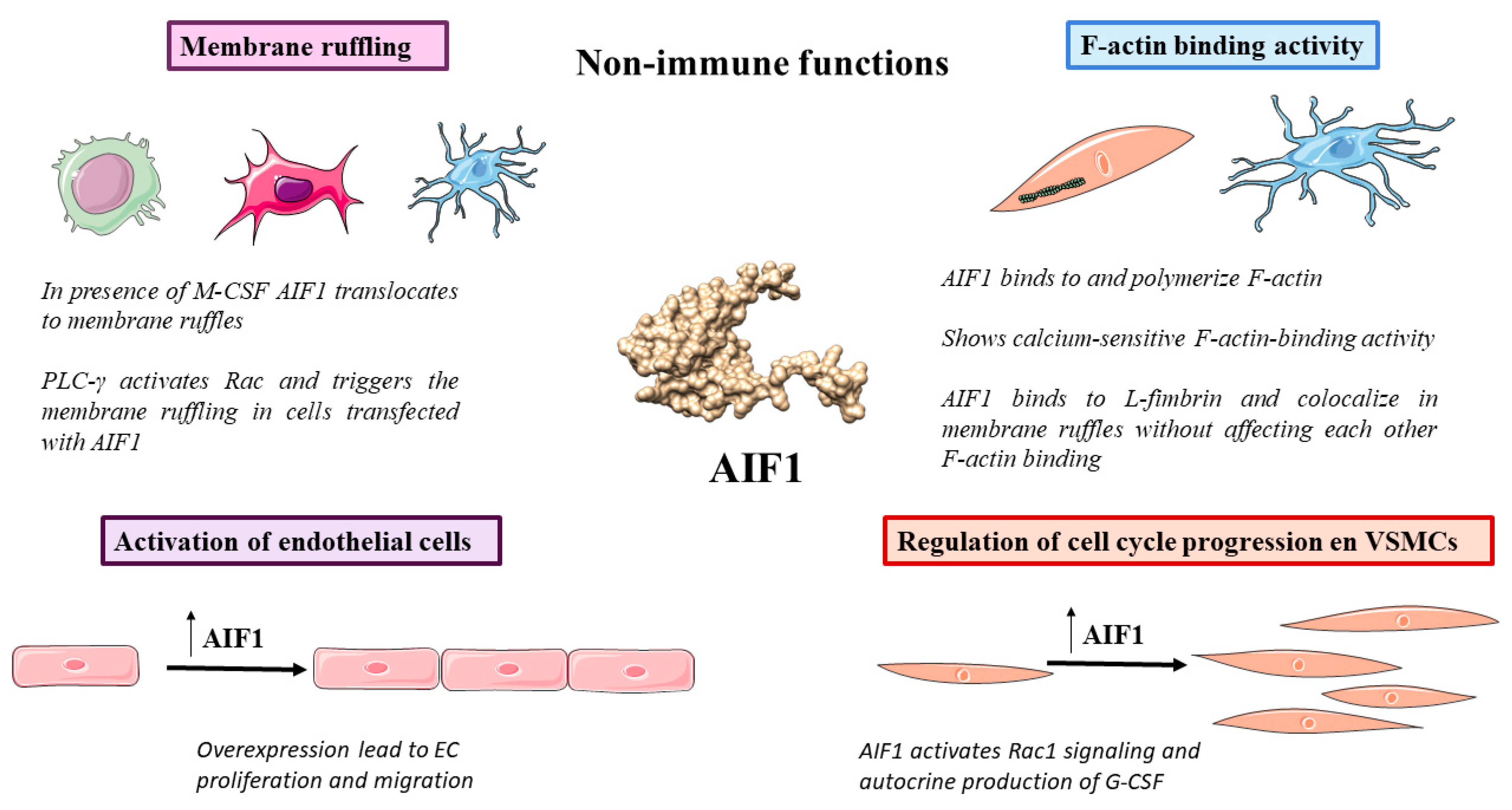 Biology 12 00694 g003